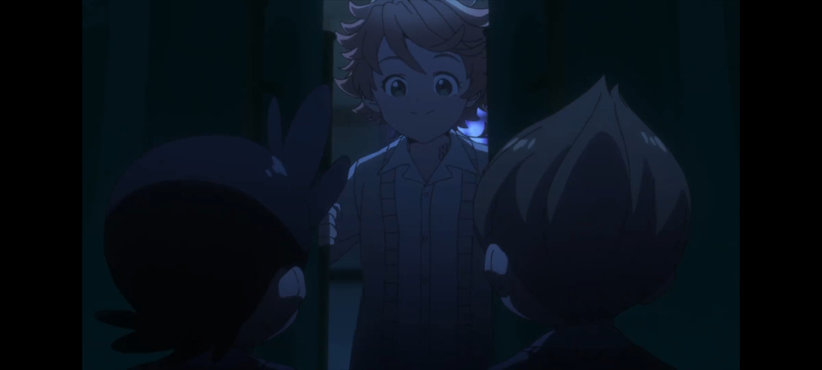 约定的梦幻岛,动画,动漫,番剧,二次元,ACG