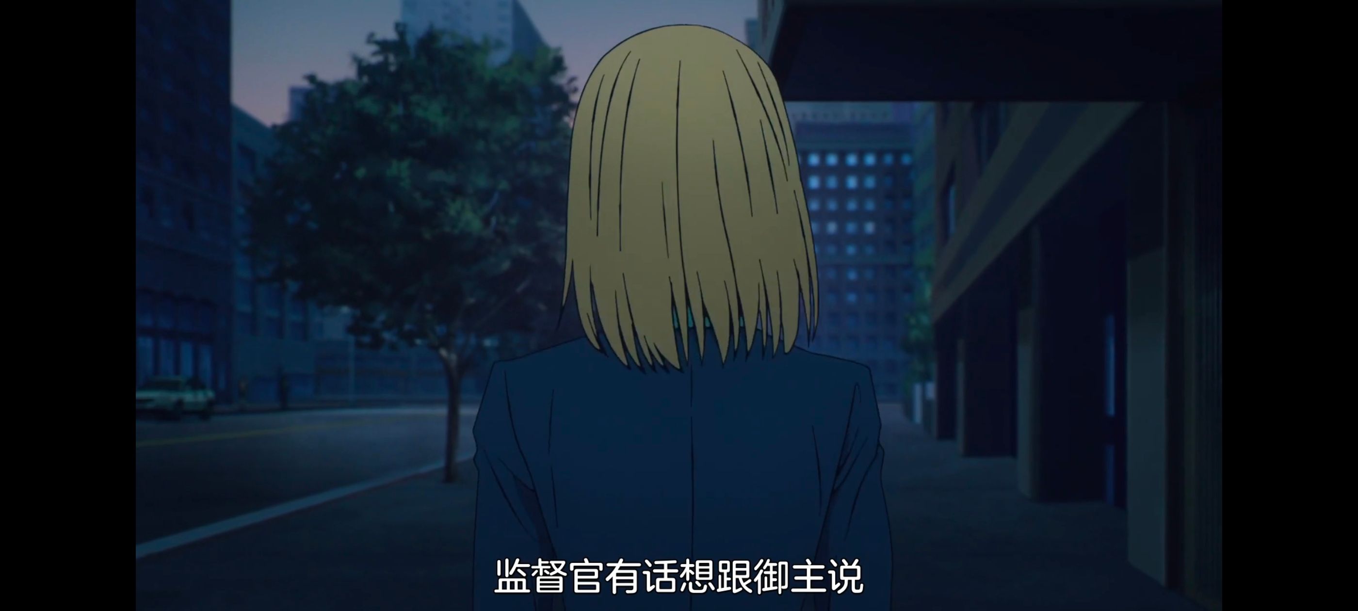 命运奇异赝品,FatestrangeFake,动画,动漫,番剧,ACG