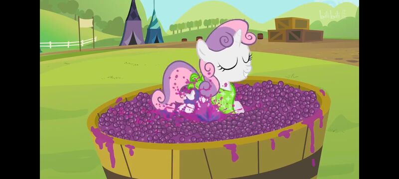 小马宝莉,小马宝莉友谊魔法,彩虹小马,我的小马驹,动画,动漫,番剧,ACG