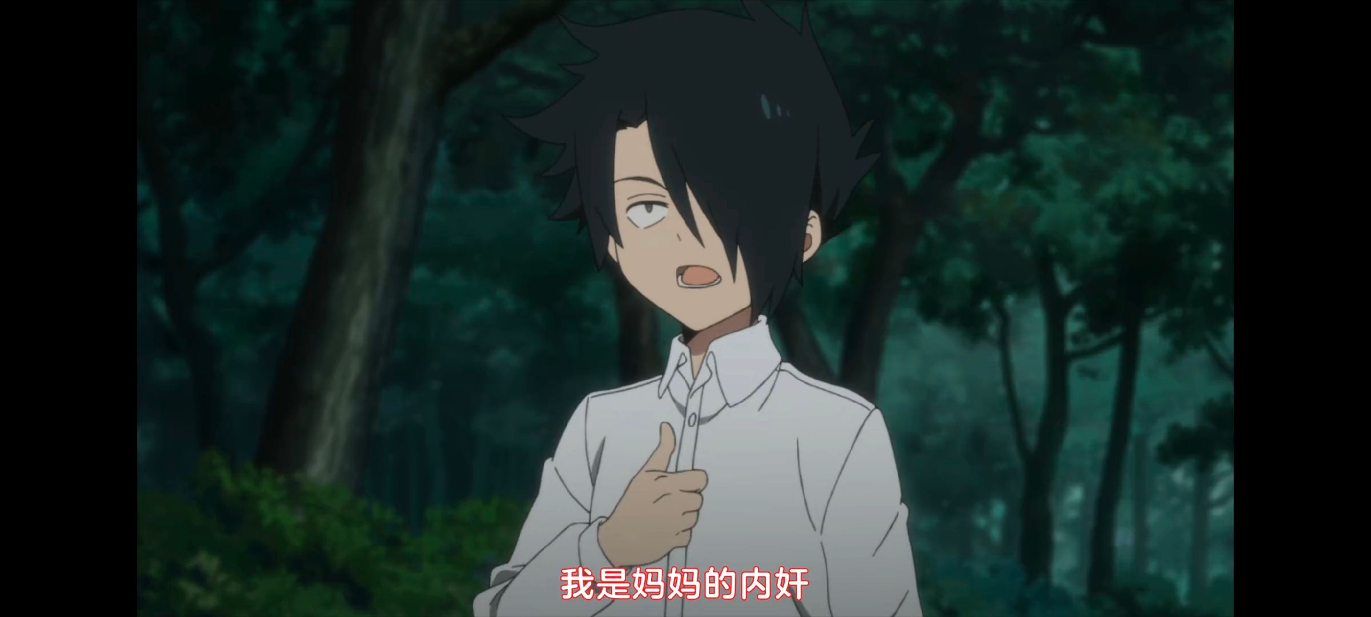 约定的梦幻岛,动画,动漫,番剧,ACG