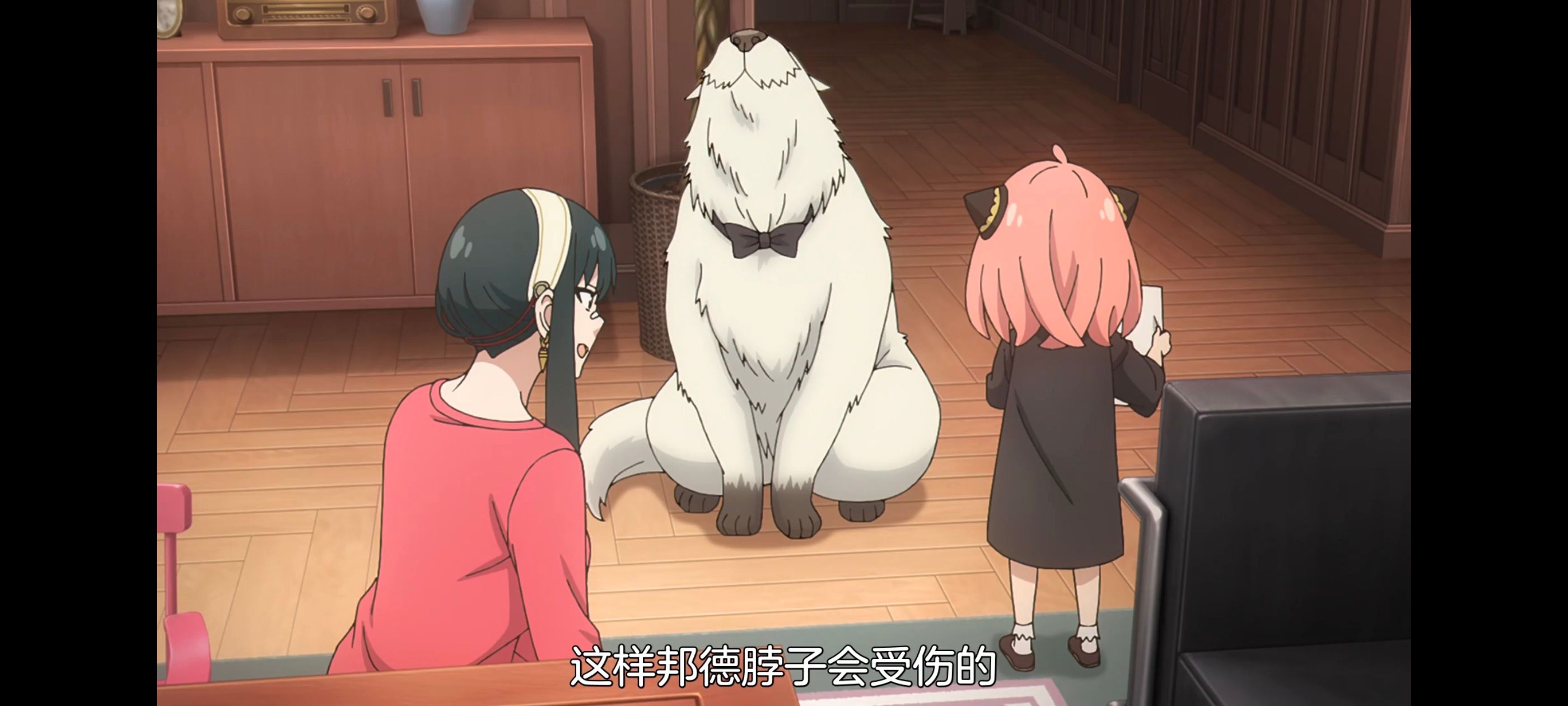 间谍过家家,SPYFAMILY,动画,动漫,番剧,ACG