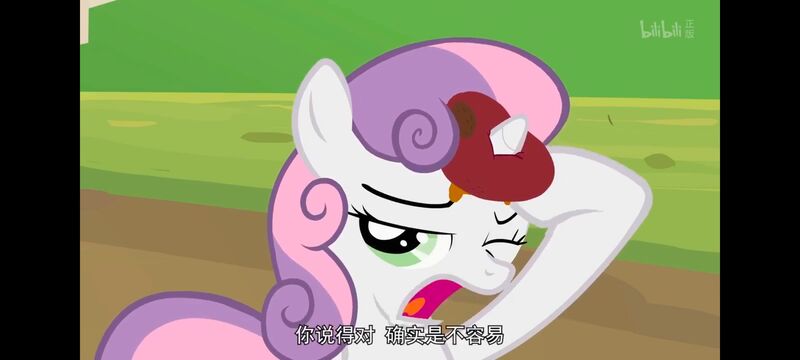 小马宝莉,小马宝莉友谊魔法,彩虹小马,我的小马驹,动画,动漫,番剧,ACG