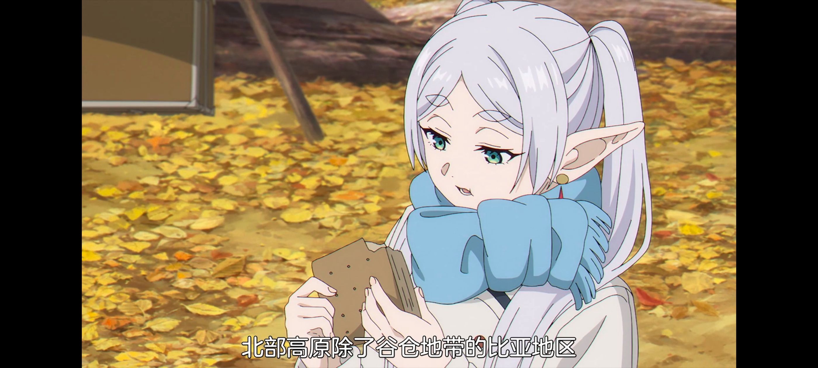 葬送的芙莉莲,动画,动漫,番剧,ACG