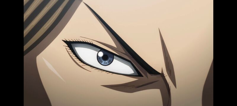 王者天下,动画,动漫,番剧,ACG