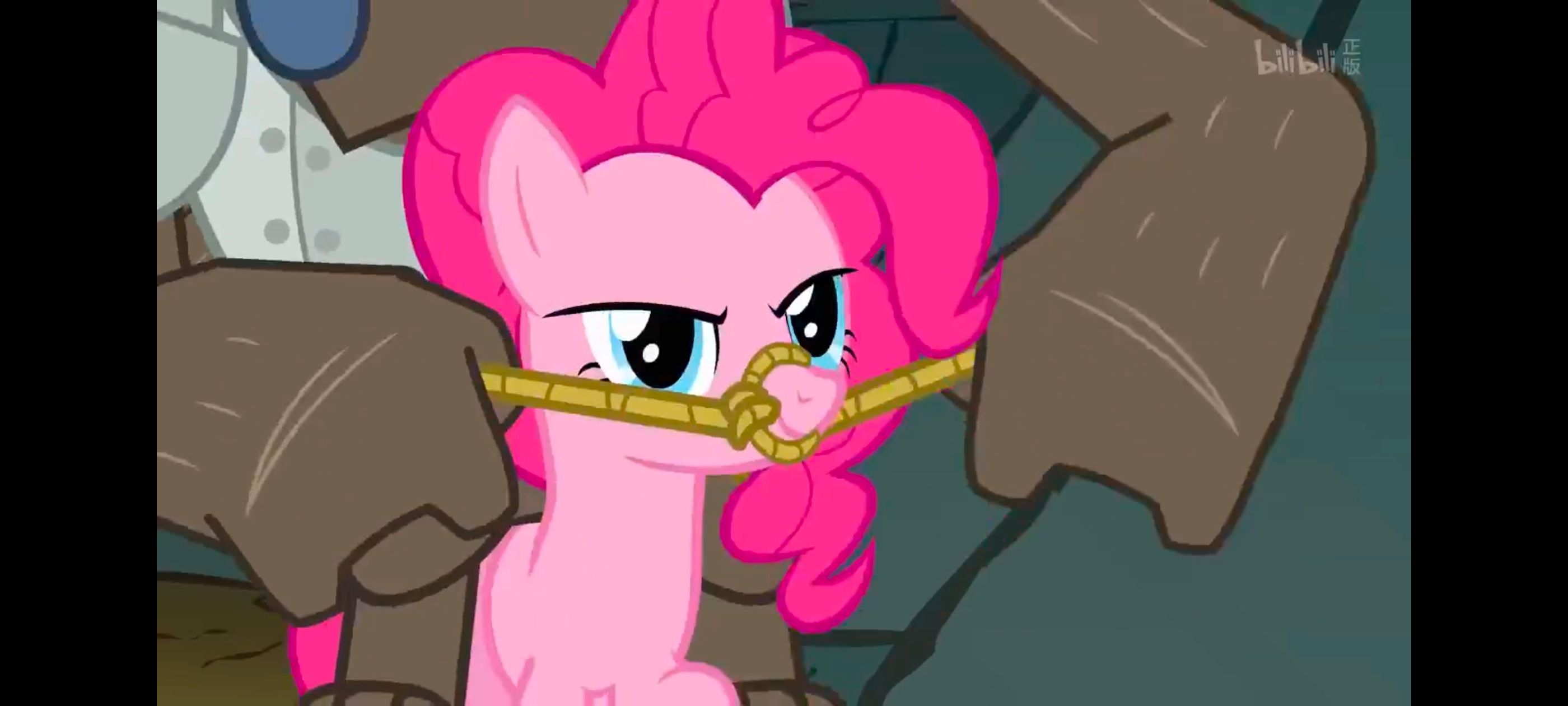 彩虹小马,小马宝莉,我的小马驹,小马宝莉友谊魔法,动画,动漫,番剧,ACG