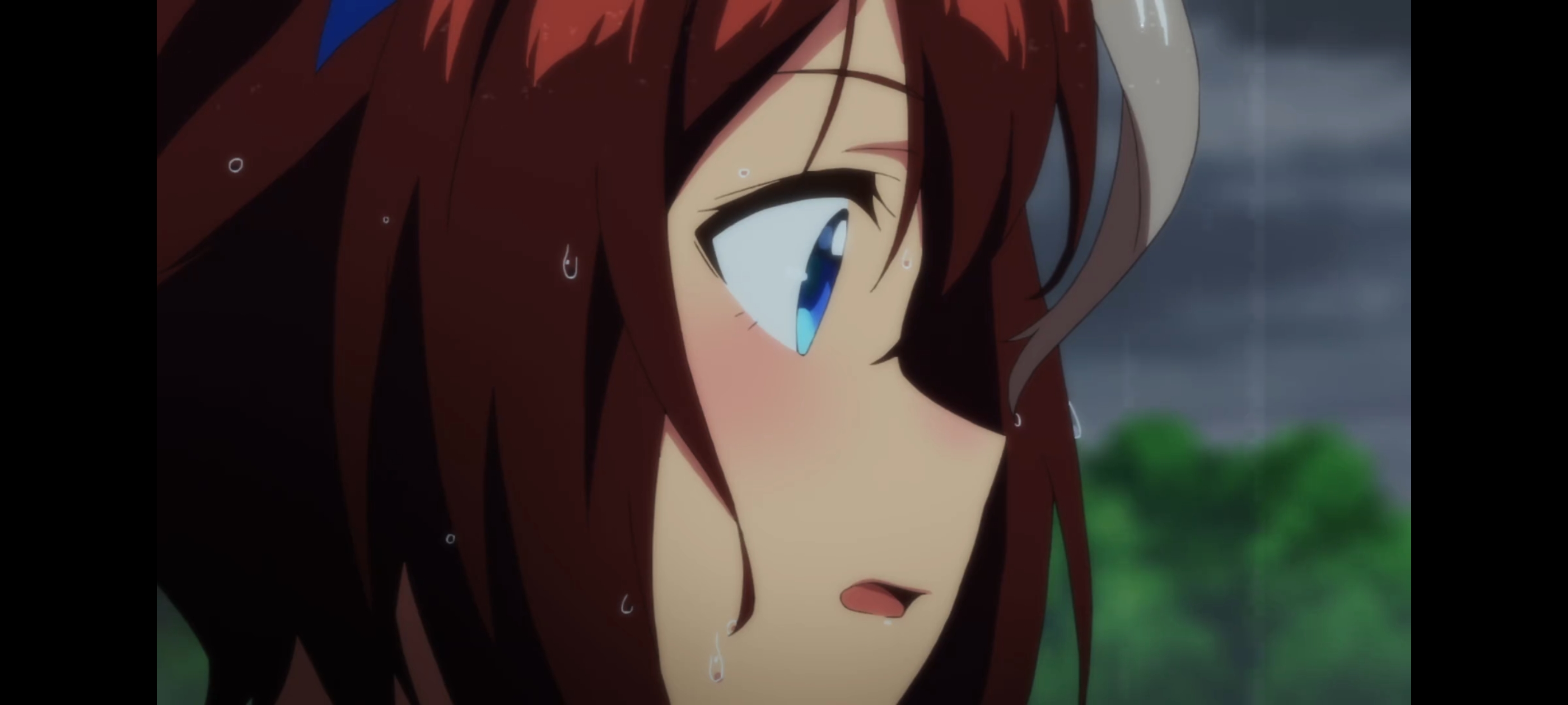 赛马娘,赛马娘第二季,赛马娘PrettyDerby,动画,动漫,番剧,二次元,ACG