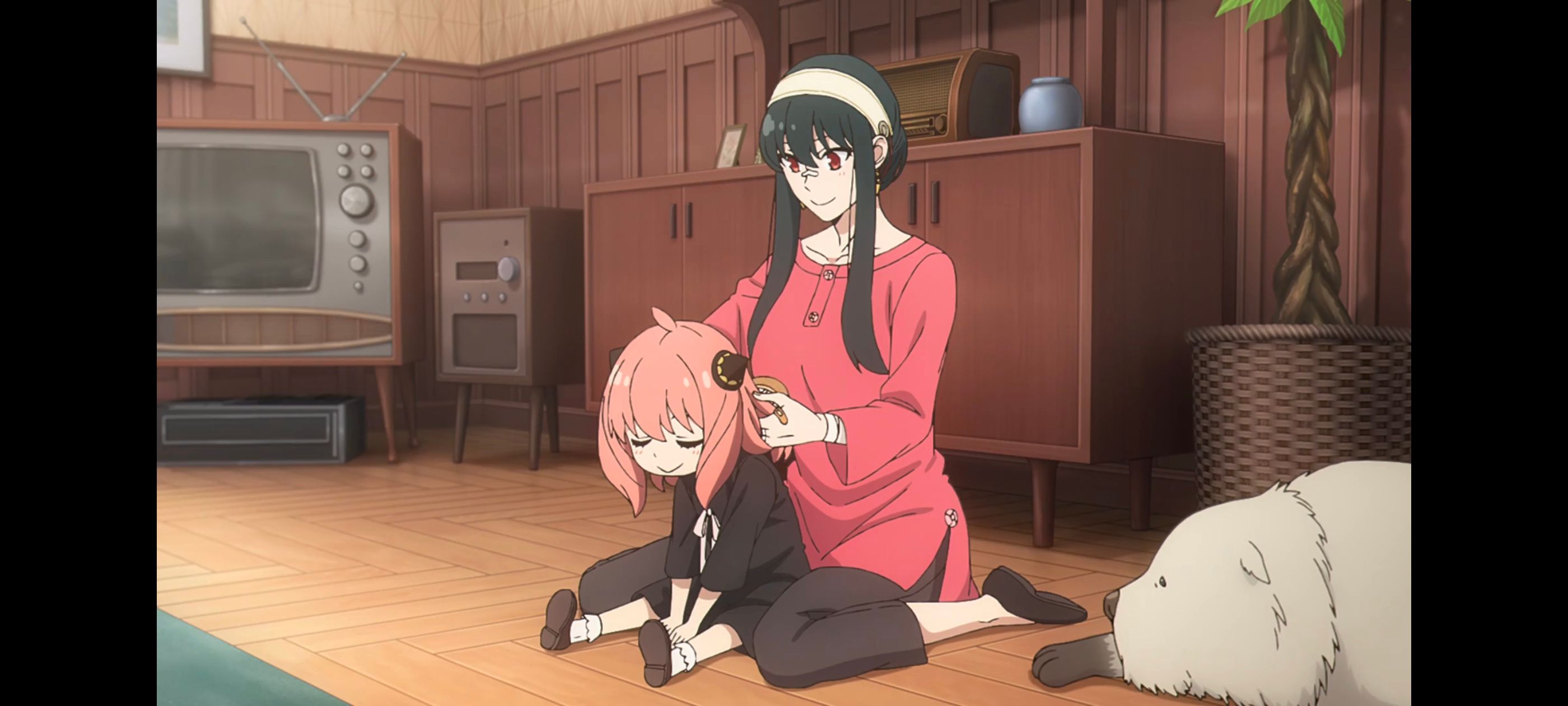 间谍过家家,SPYFAMILY,动画,动漫,番剧,ACG