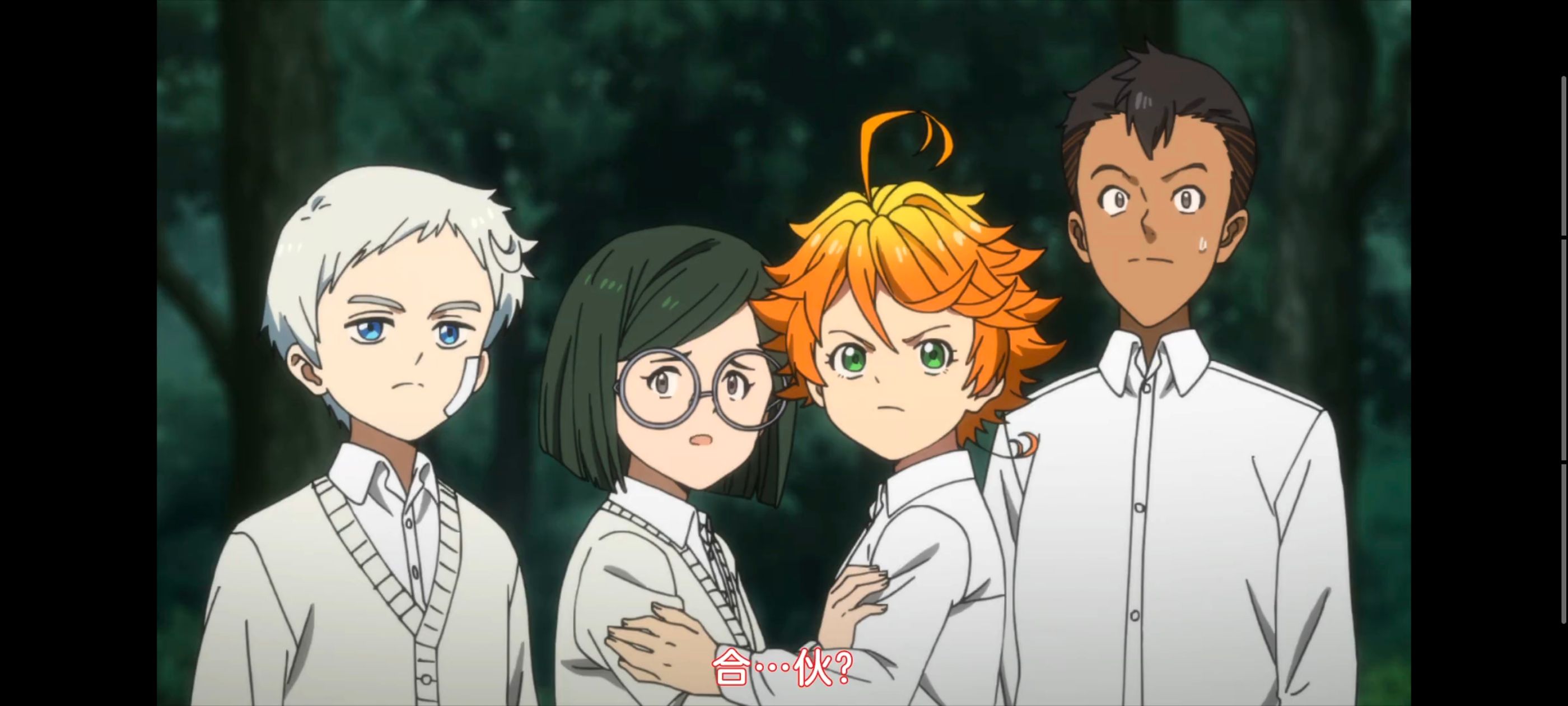 约定的梦幻岛,动画,动漫,番剧,二次元,ACG