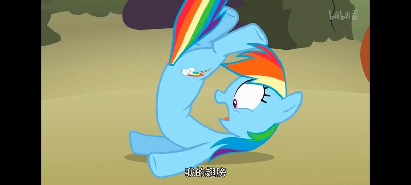 小马宝莉,小马宝莉友谊魔法,彩虹小马,我的小马驹,动画,动漫,番剧,ACG