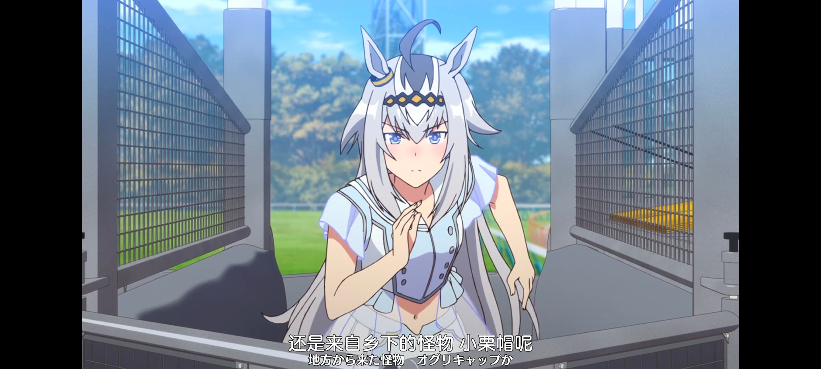 赛马娘,赛马娘PrettyDreby,动画,动漫,番剧,ACG