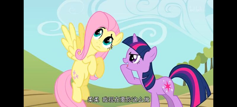 小马宝莉,小马宝莉友谊魔法,彩虹小马,我的小马驹,动画,动漫,番剧,ACG