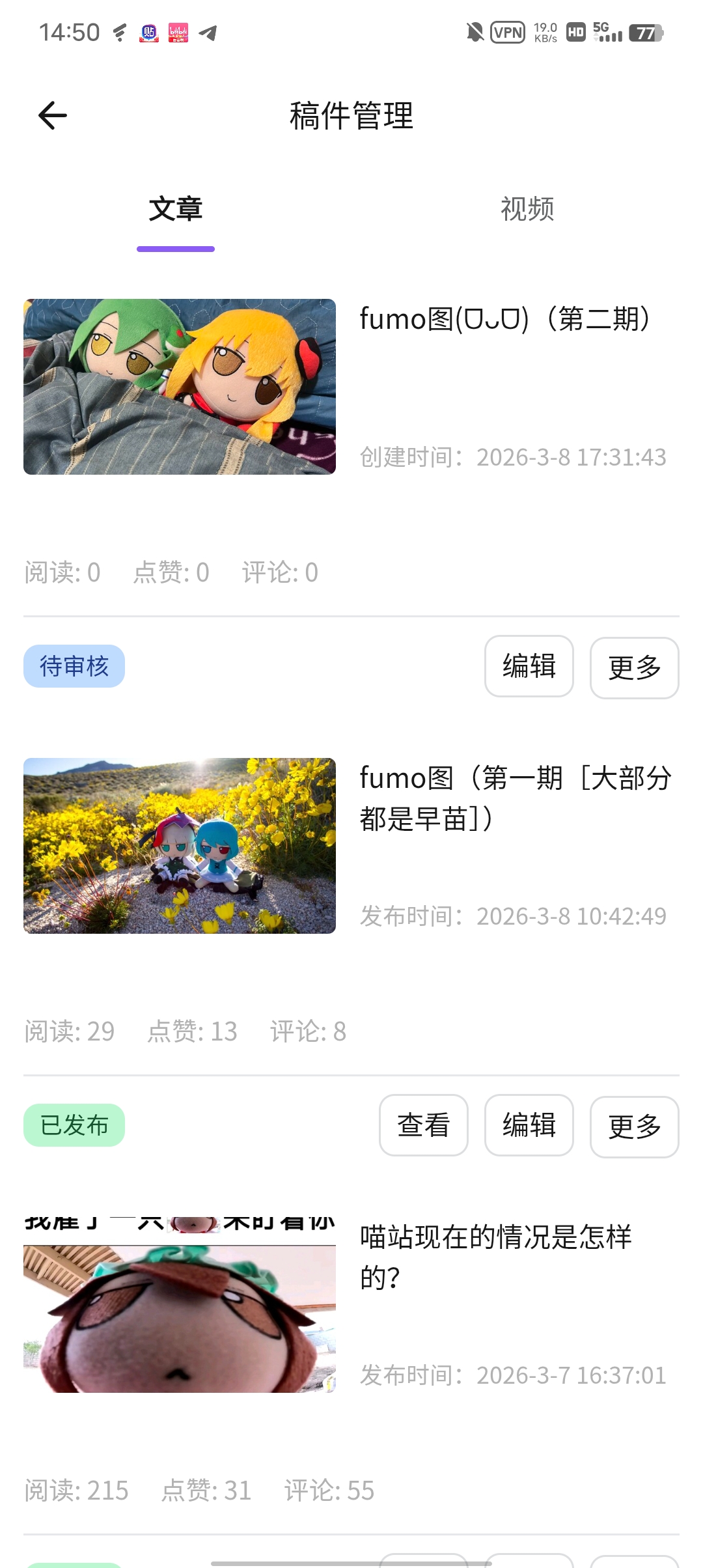 审核,fumo,东方project