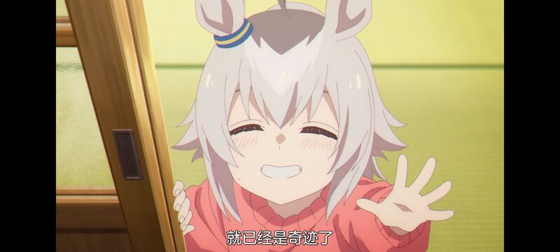 赛马娘,赛马娘PrettyDreby,芦毛灰姑娘,赛马娘芦毛灰姑娘,动画,动漫,番剧,ACG