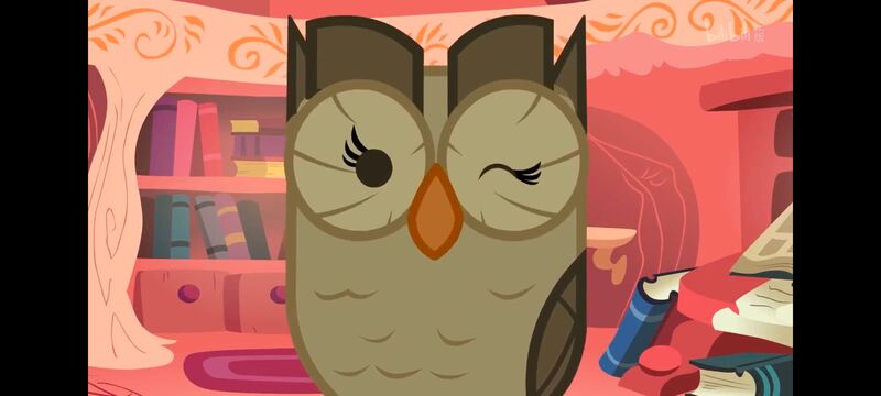 小马宝莉,彩虹小马,我的小马驹,动画,动漫,番剧,ACG,小马宝莉友谊魔法