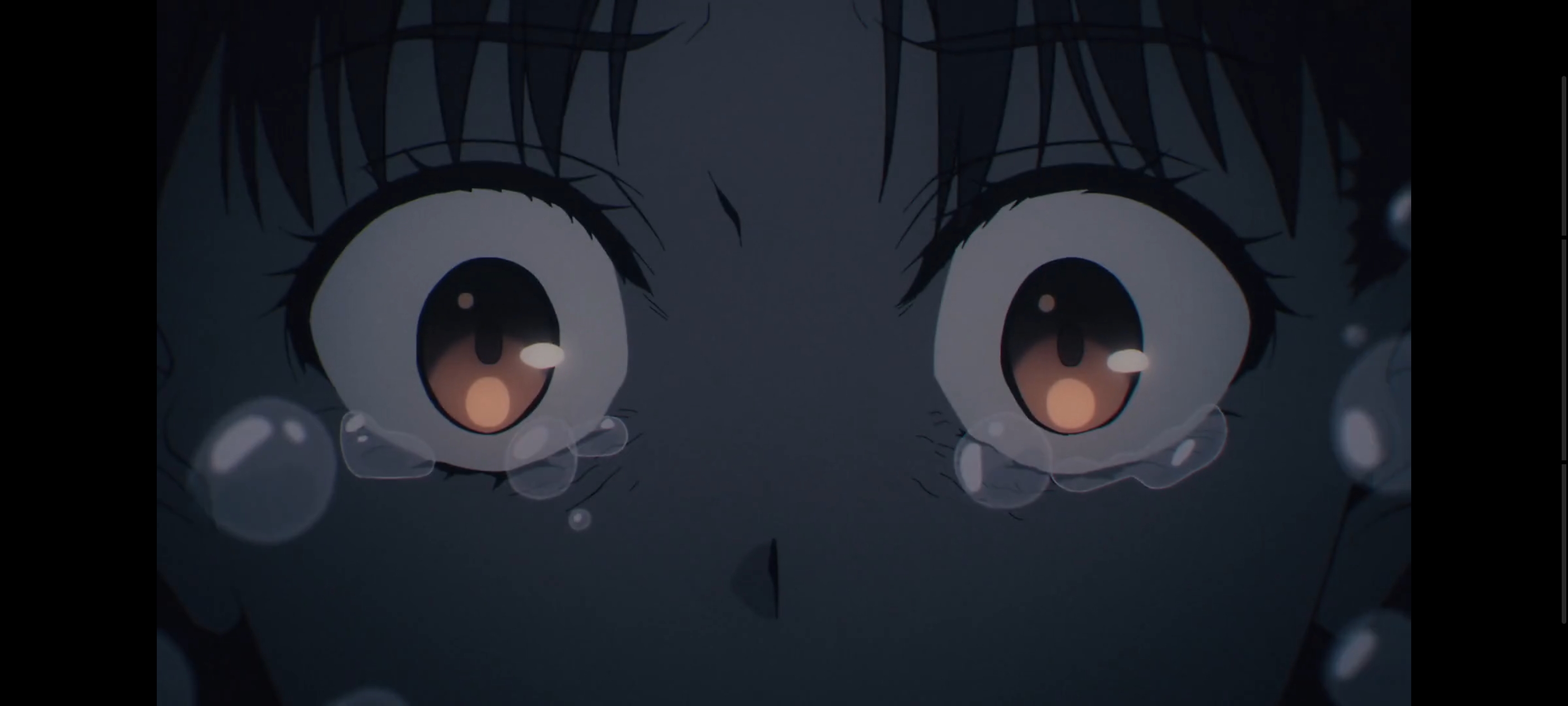 命运奇异赝品,FATE,FatestrangeFake,动画,动漫,番剧,二次元,ACG