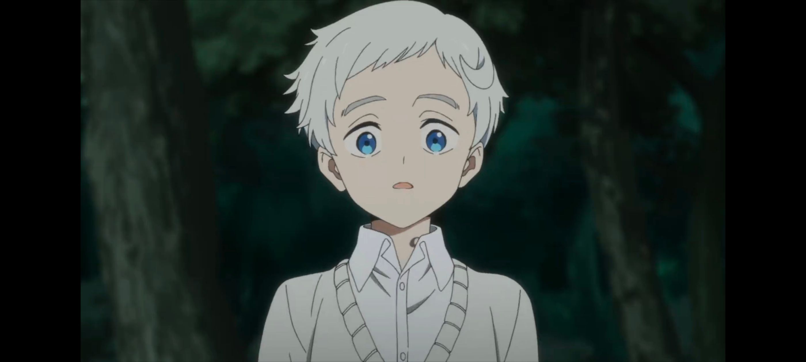 约定的梦幻岛,动画,动漫,番剧,ACG