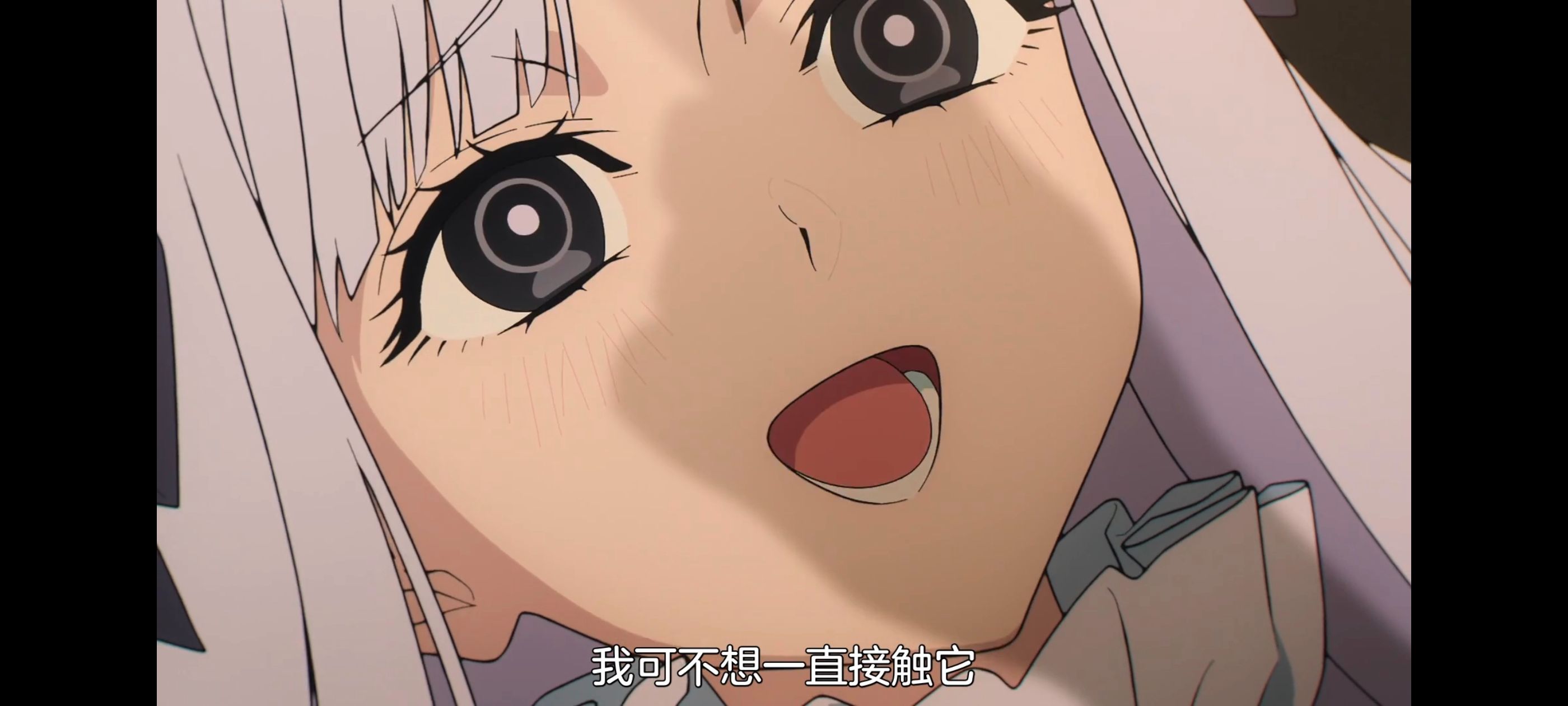 命运奇异赝品,FatestrangeFake,动画,动漫,番剧,ACG