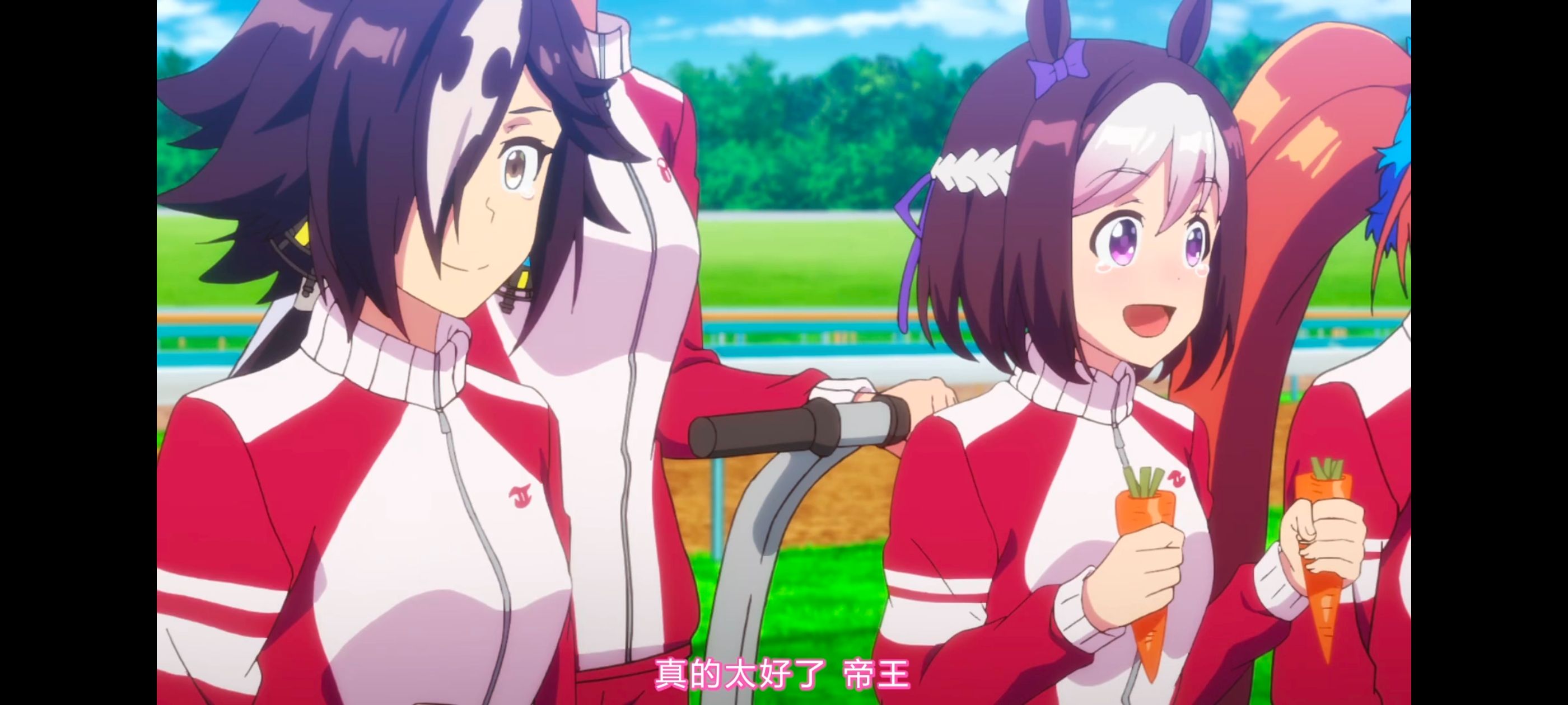 赛马娘,赛马娘PrettyDreby,赛马娘第二季,动画,动漫,番剧,二次元,ACG