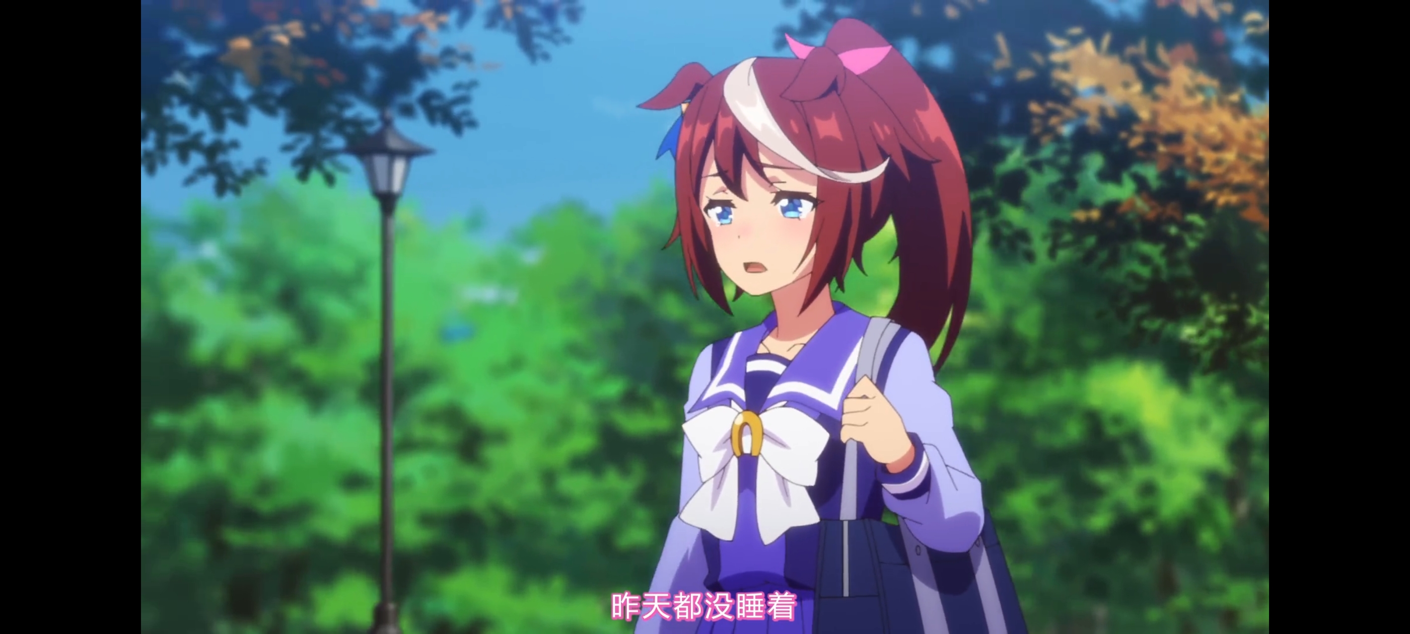 赛马娘,赛马娘第二季,动画,动漫,番剧,二次元,ACG