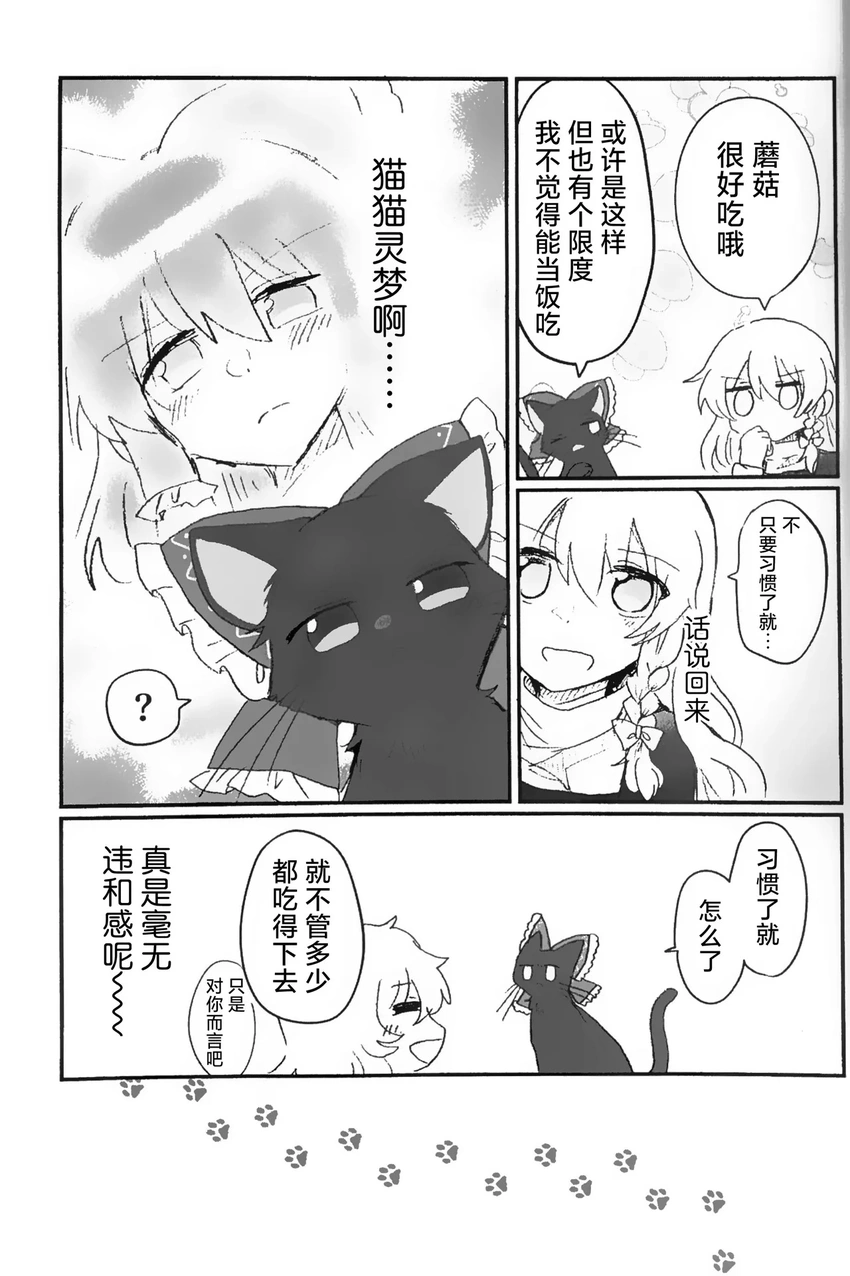 东方project,博丽灵梦,雾雨魔理沙