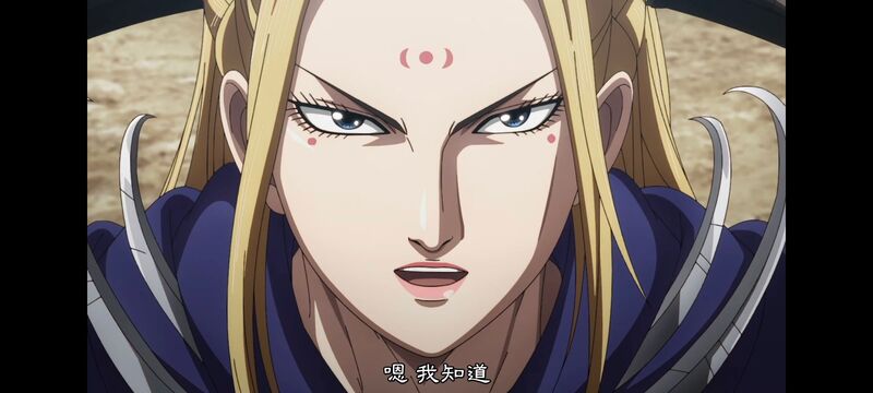 王者天下,动画,动漫,番剧,ACG