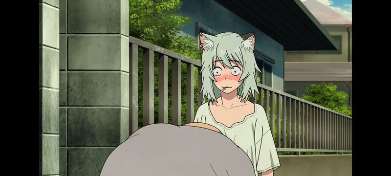 雅尼猫,尼古喵喵,动画,动漫,番剧,二次元,日漫,ACG