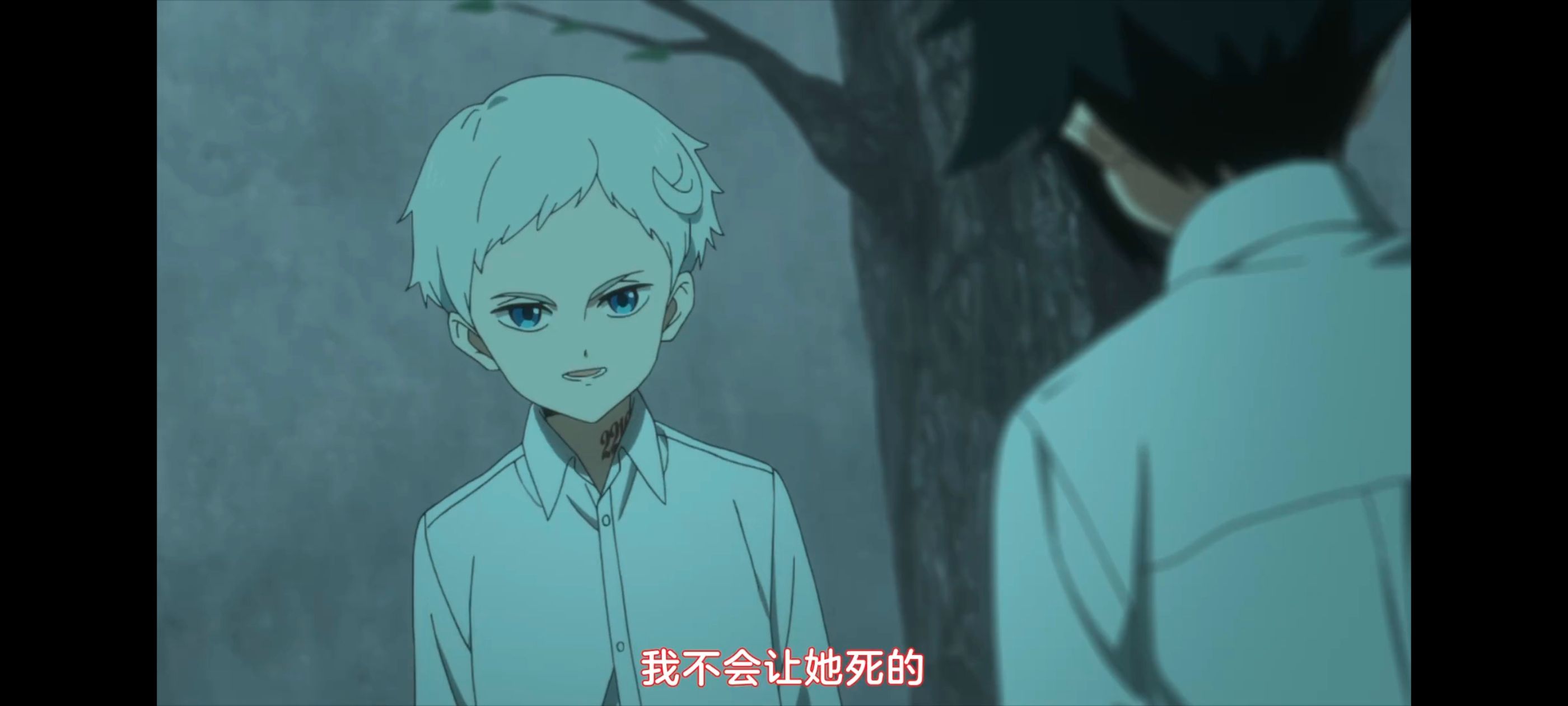 约定的梦幻岛,动画,动漫,番剧,ACG