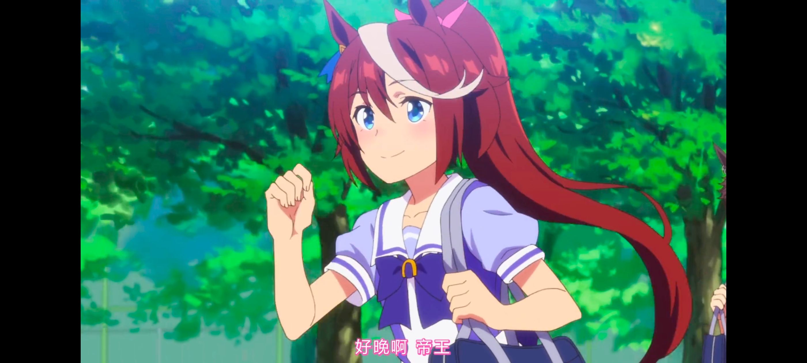 赛马娘,赛马娘PrettyDreby,赛马娘第二季,动画,动漫,番剧,ACG