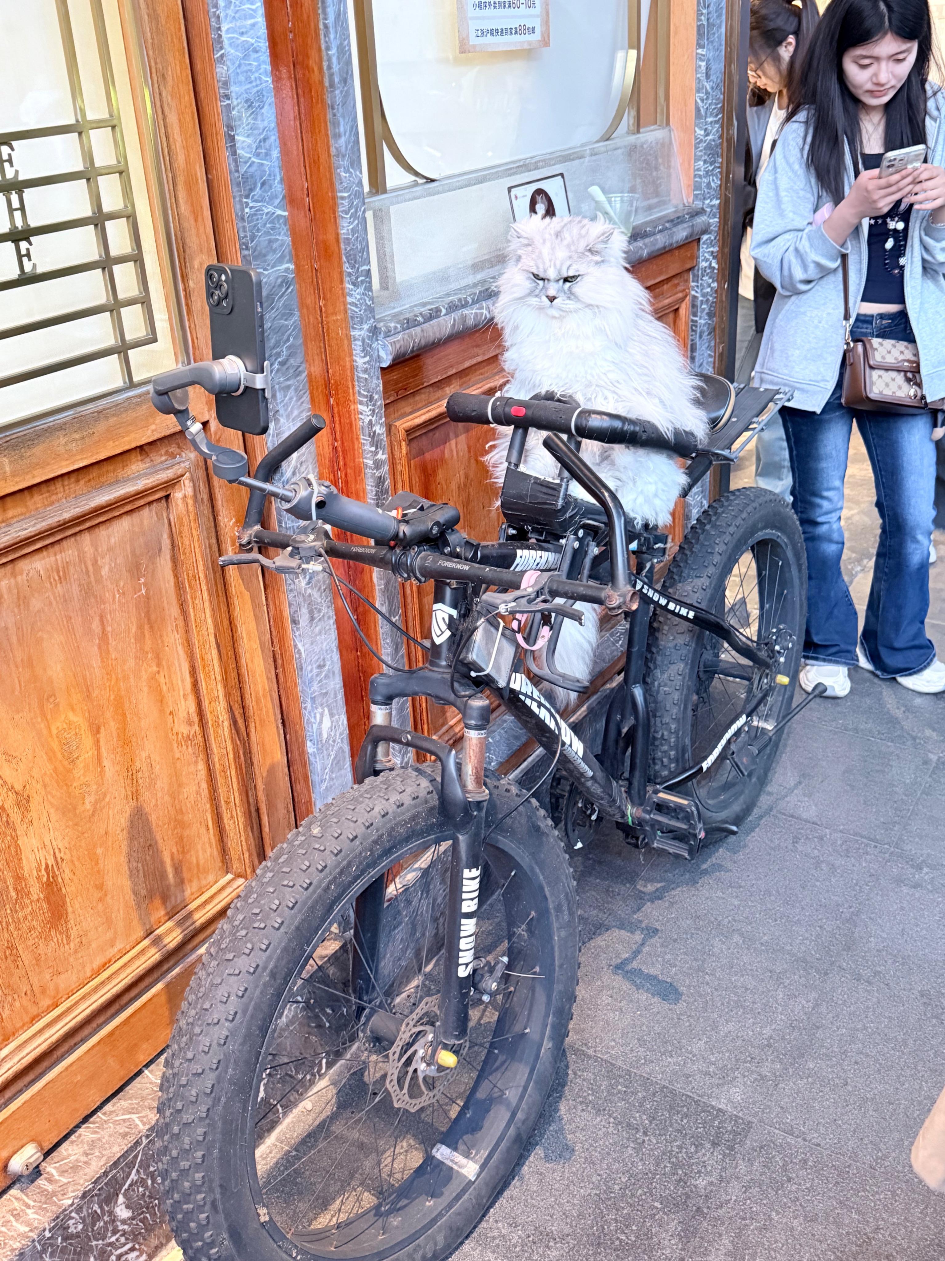 喵隐,蓝与白工作室