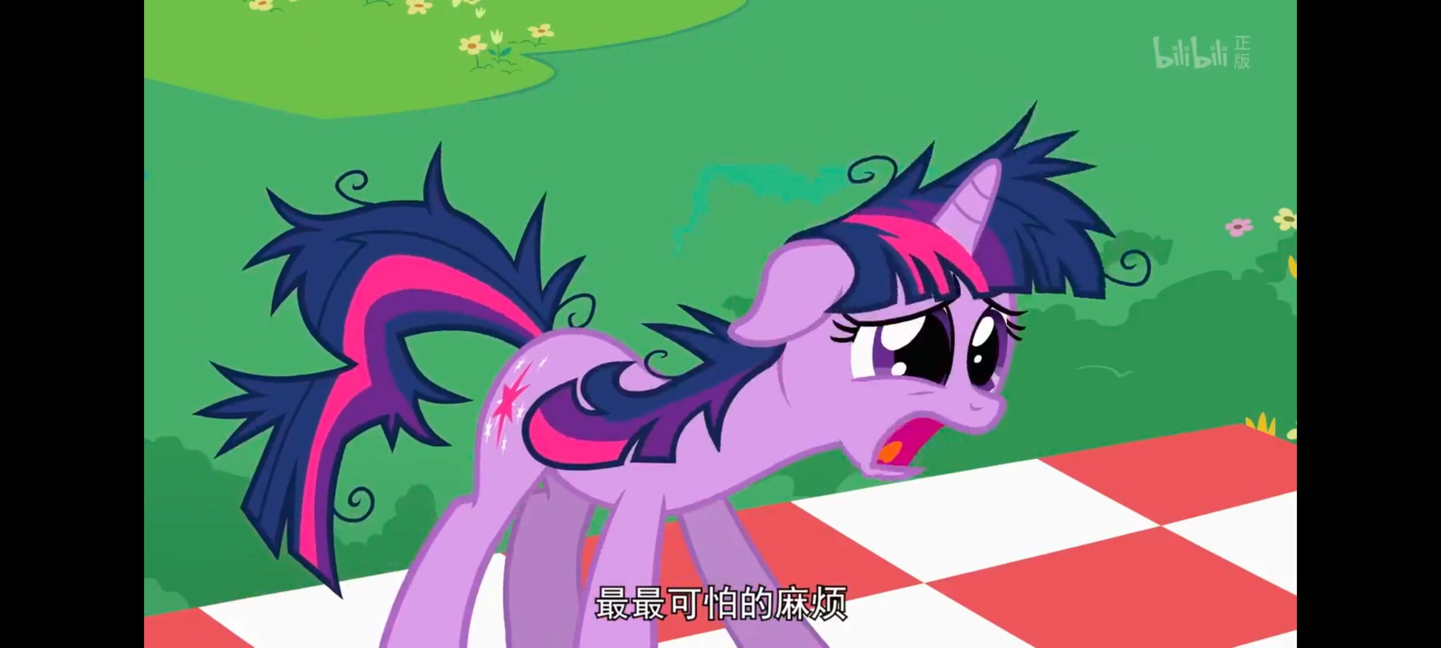 小马宝莉,小马宝莉友谊魔法,彩虹小马,我的小马驹,动画,动漫,番剧,ACG