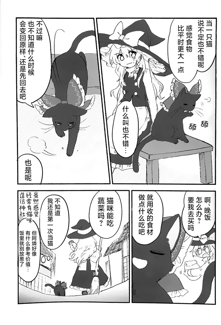 东方project,博丽灵梦,雾雨魔理沙