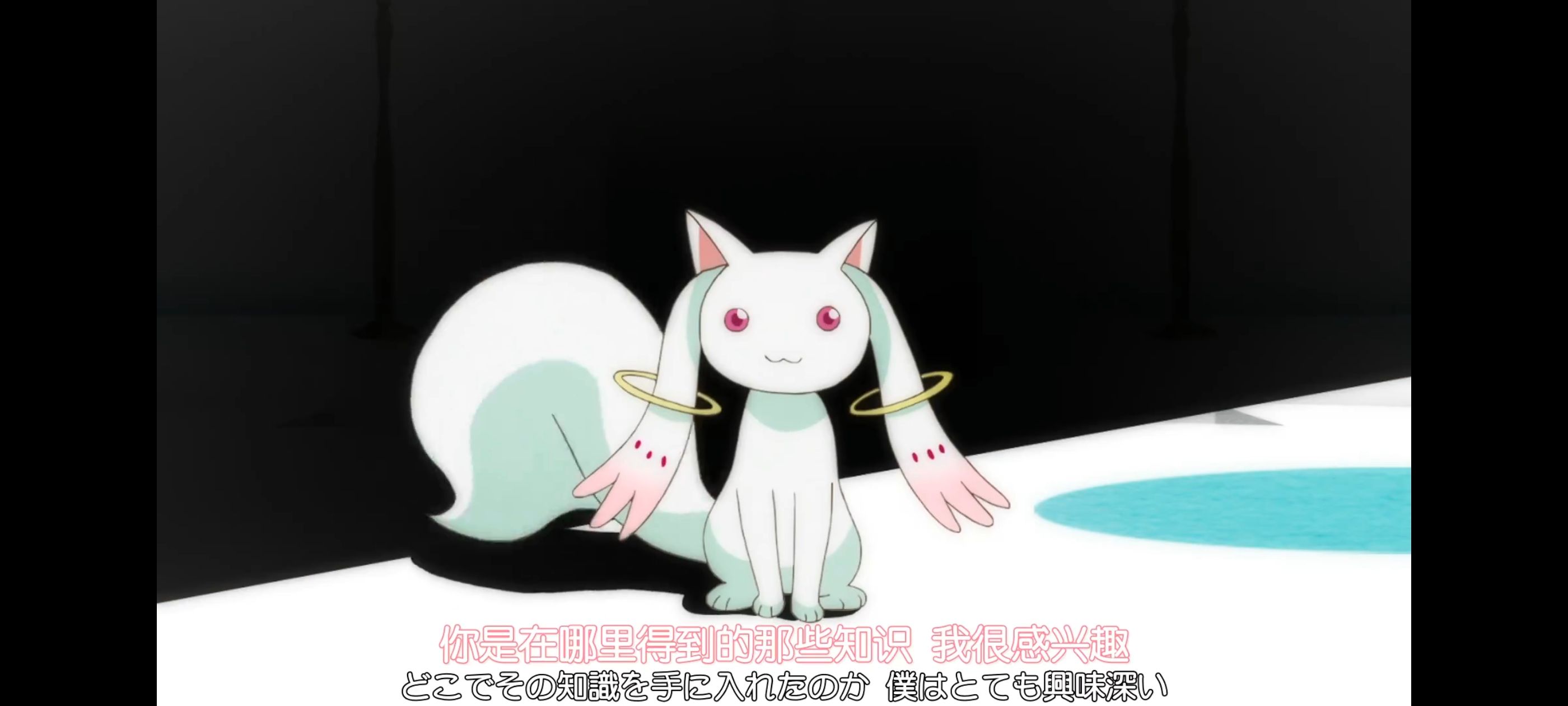 魔法少女小圆,魔法少女,动画,动漫,番剧,二次元,ACG