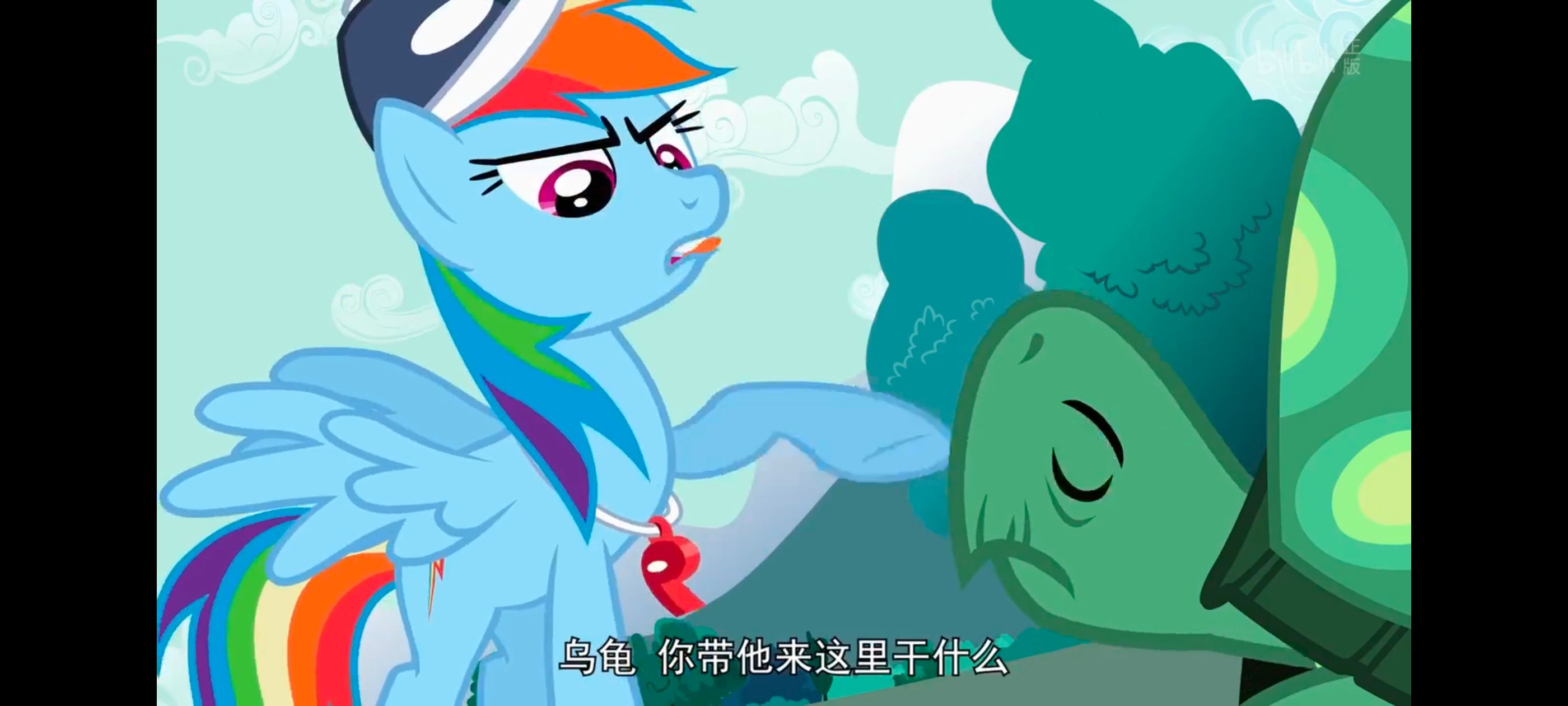 小马宝莉,彩虹小马,我的小马驹,动画,动漫,番剧,二次元,ACG