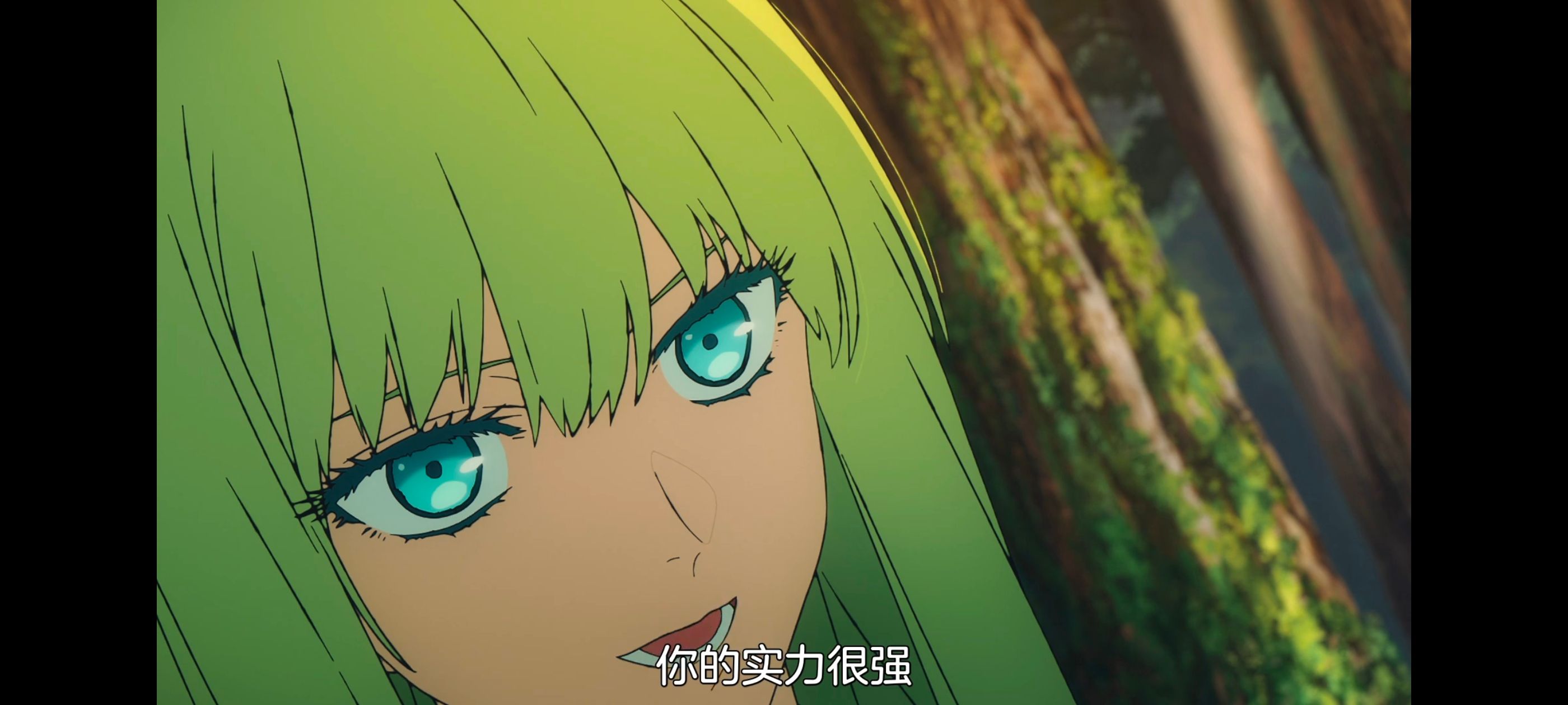 命运奇异赝品,FatestrangeFake,动画,动漫,番剧,ACG