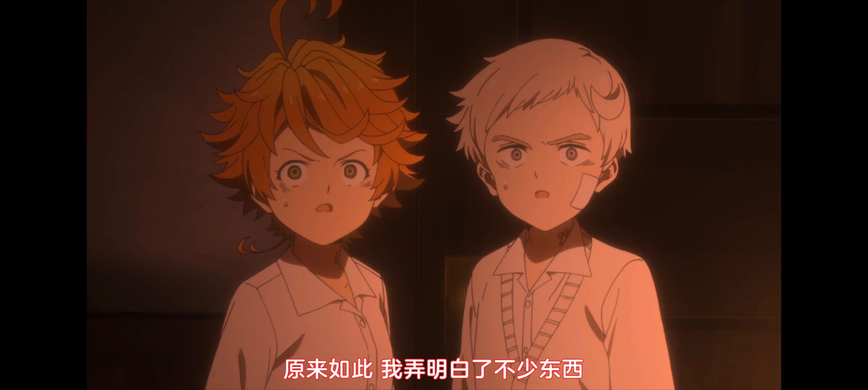 约定的梦幻岛,动画,动漫,番剧,二次元,ACG