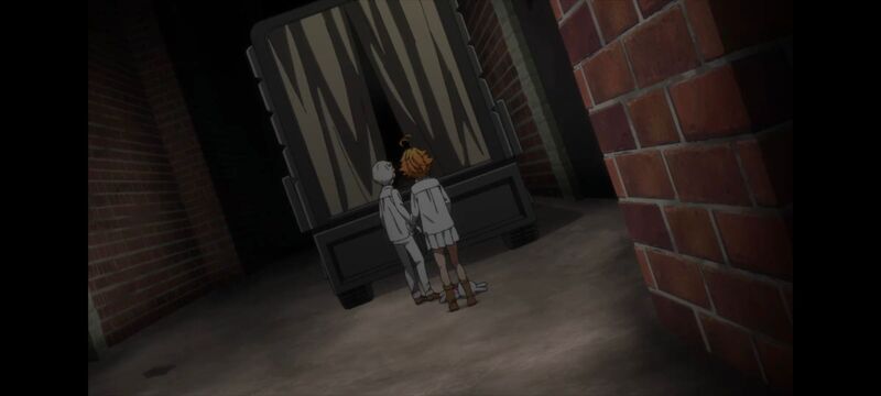 约定的梦幻岛,动画,动漫,番剧,ACG