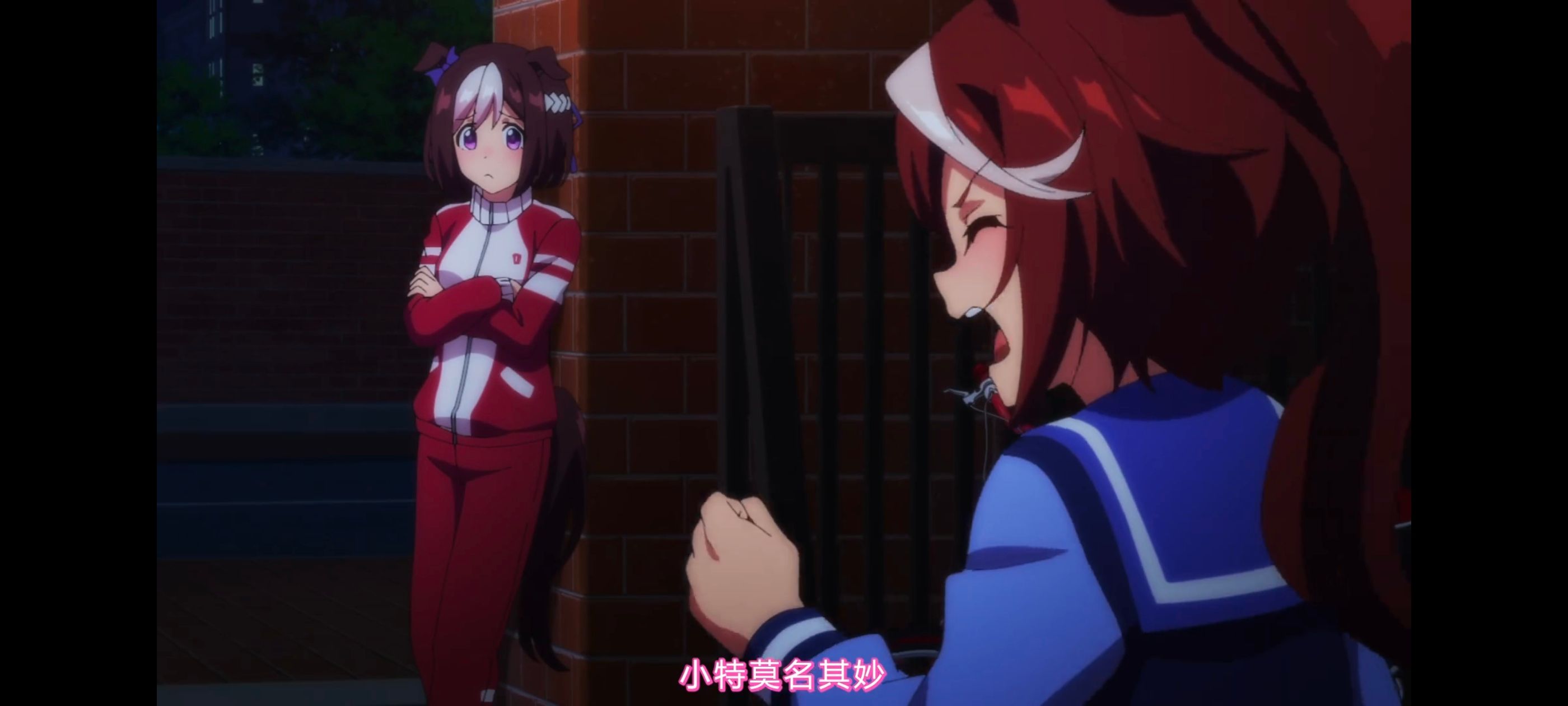 赛马娘,赛马娘第二季,动画,动漫,番剧,二次元,ACG,赛马娘PrettyDerby