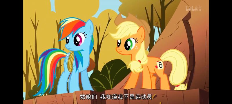 小马宝莉,小马宝莉友谊魔法,彩虹小马,我的小马驹,动画,动漫,番剧,ACG