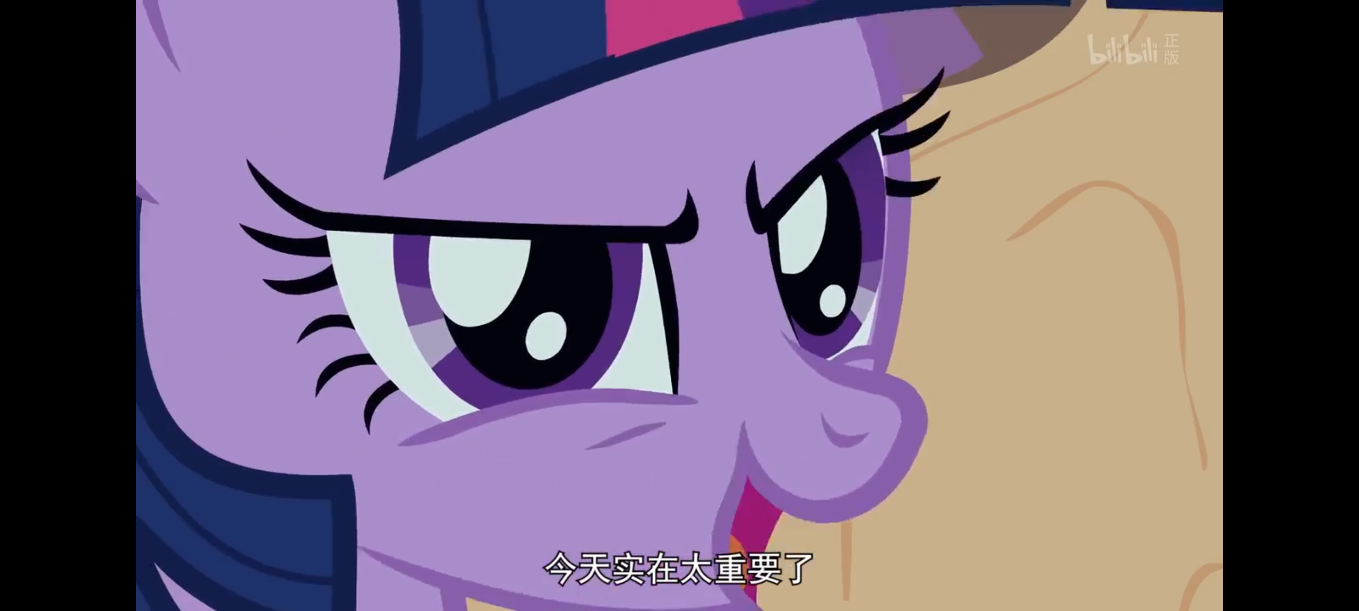 小马宝莉,彩虹小马,我的小马驹,动画,动漫,番剧,二次元,ACG