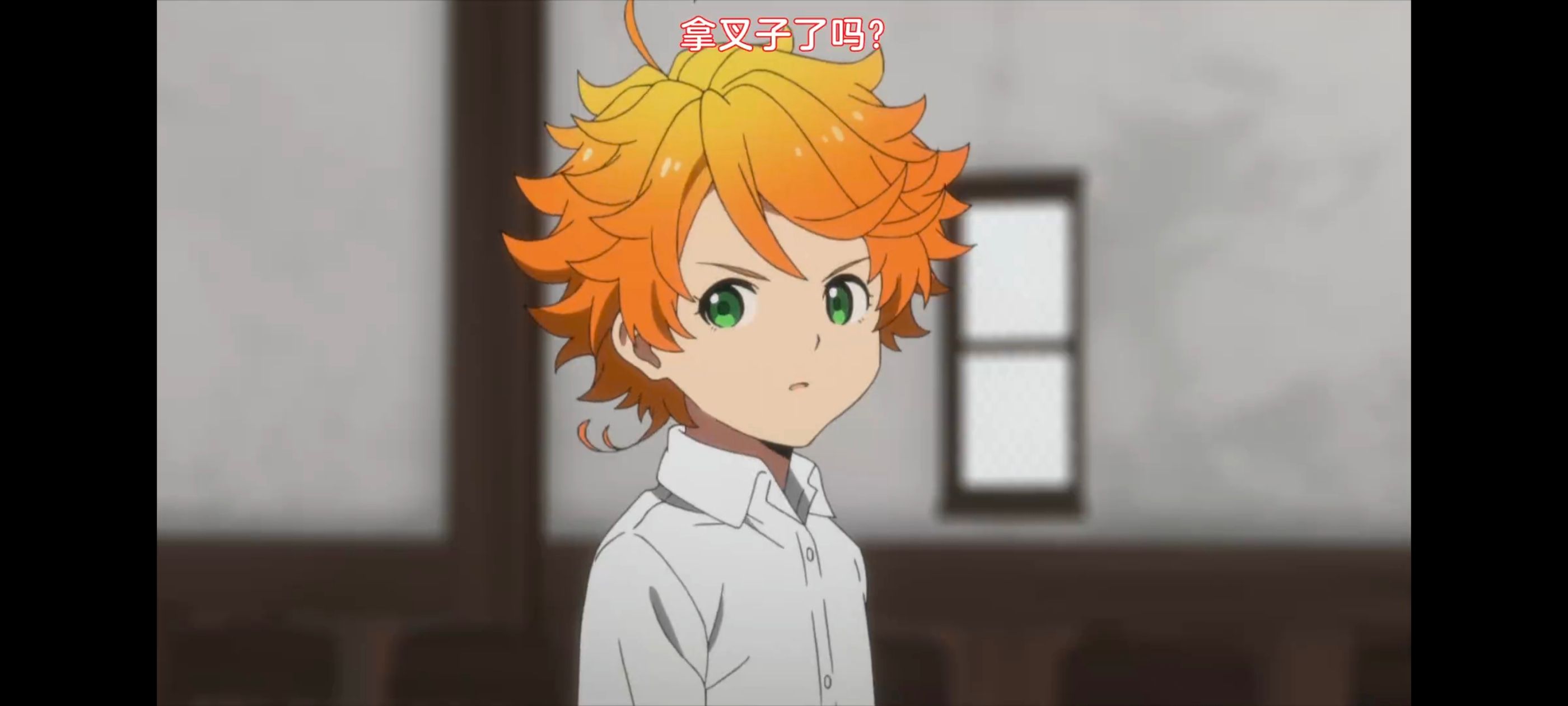 约定的梦幻岛,动画,动漫,番剧,二次元,ACG