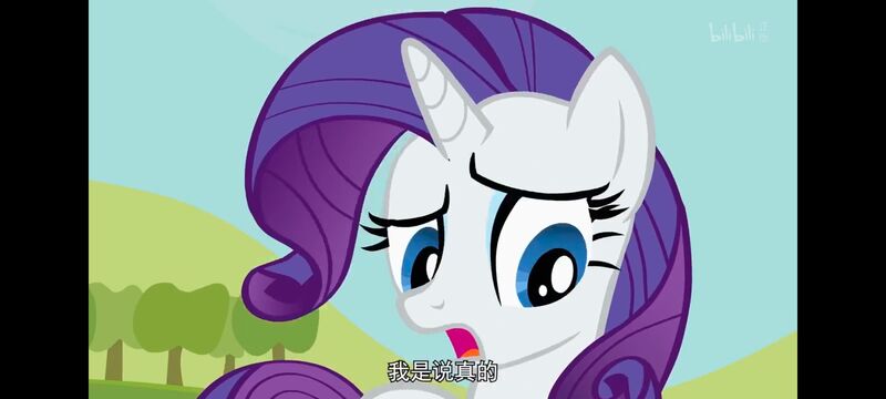 小马宝莉,小马宝莉友谊魔法,彩虹小马,我的小马驹,动画,动漫,番剧,ACG