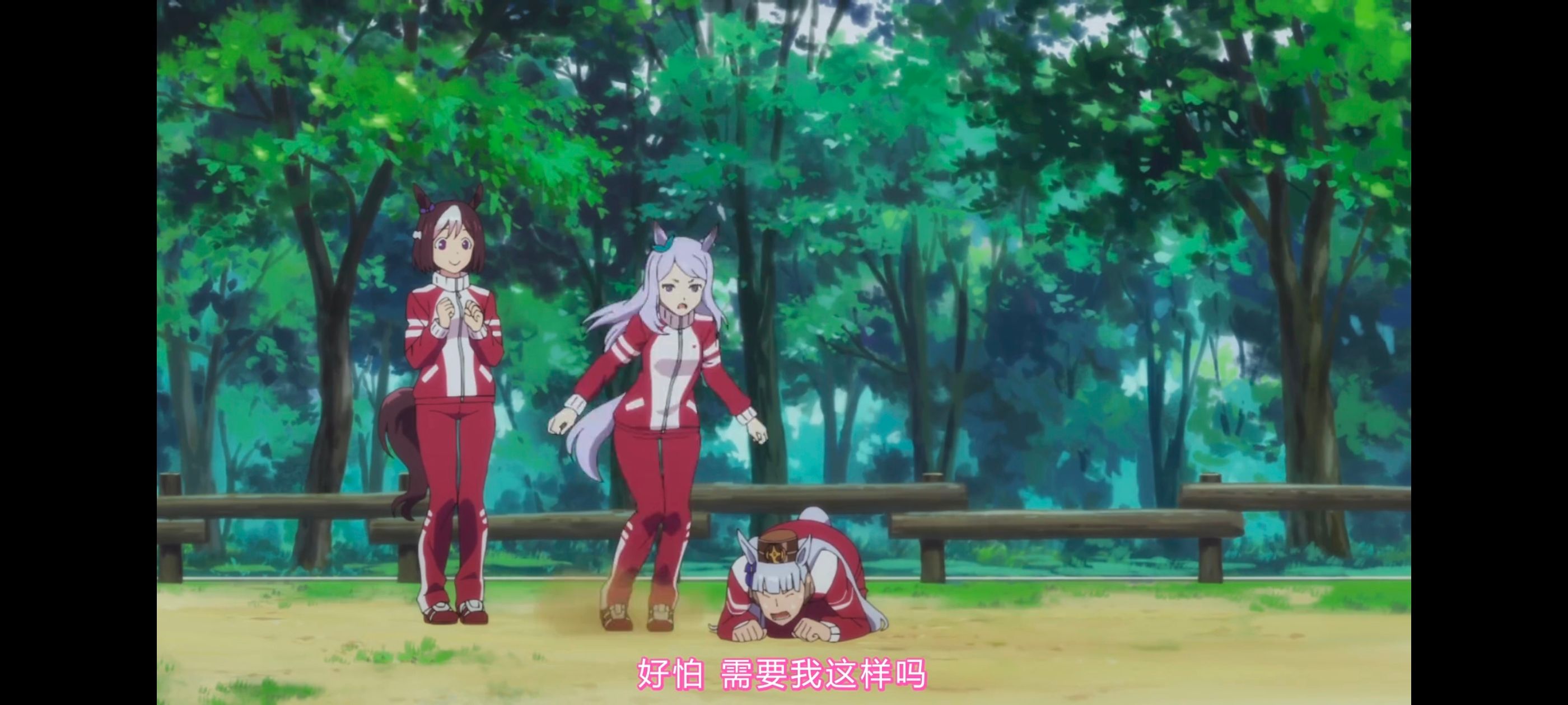 赛马娘,赛马娘PrettyDreby,赛马娘第二季,动画,动漫,番剧,ACG