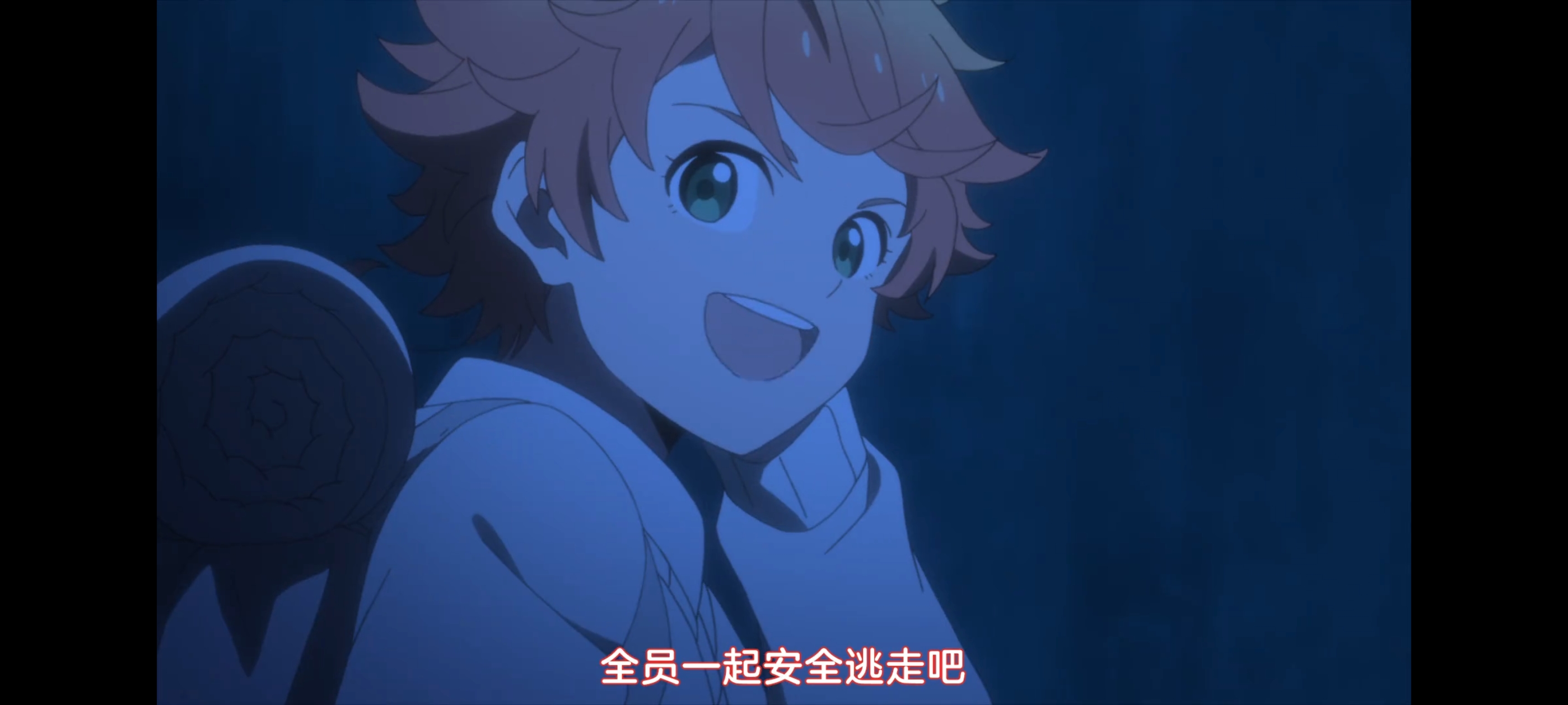 约定的梦幻岛,动画,动漫,番剧,二次元,ACG