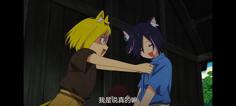 尼古喵喵,雅尼猫,动画,动漫,番剧,日漫,二次元,ACG