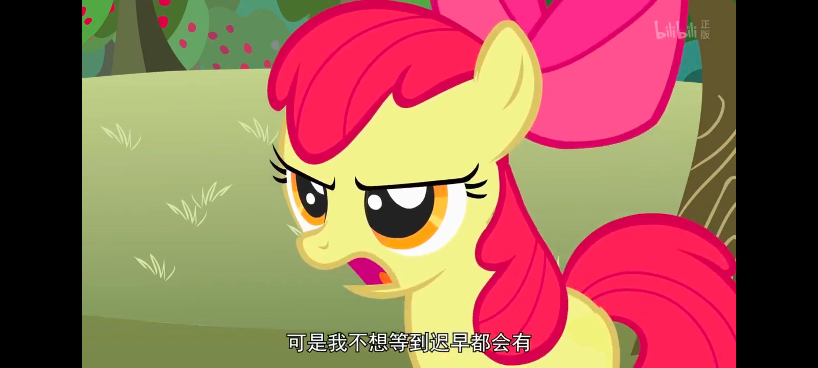 小马宝莉,小马宝莉友谊魔法,彩虹小马,我的小马驹,动画,动漫,番剧,ACG