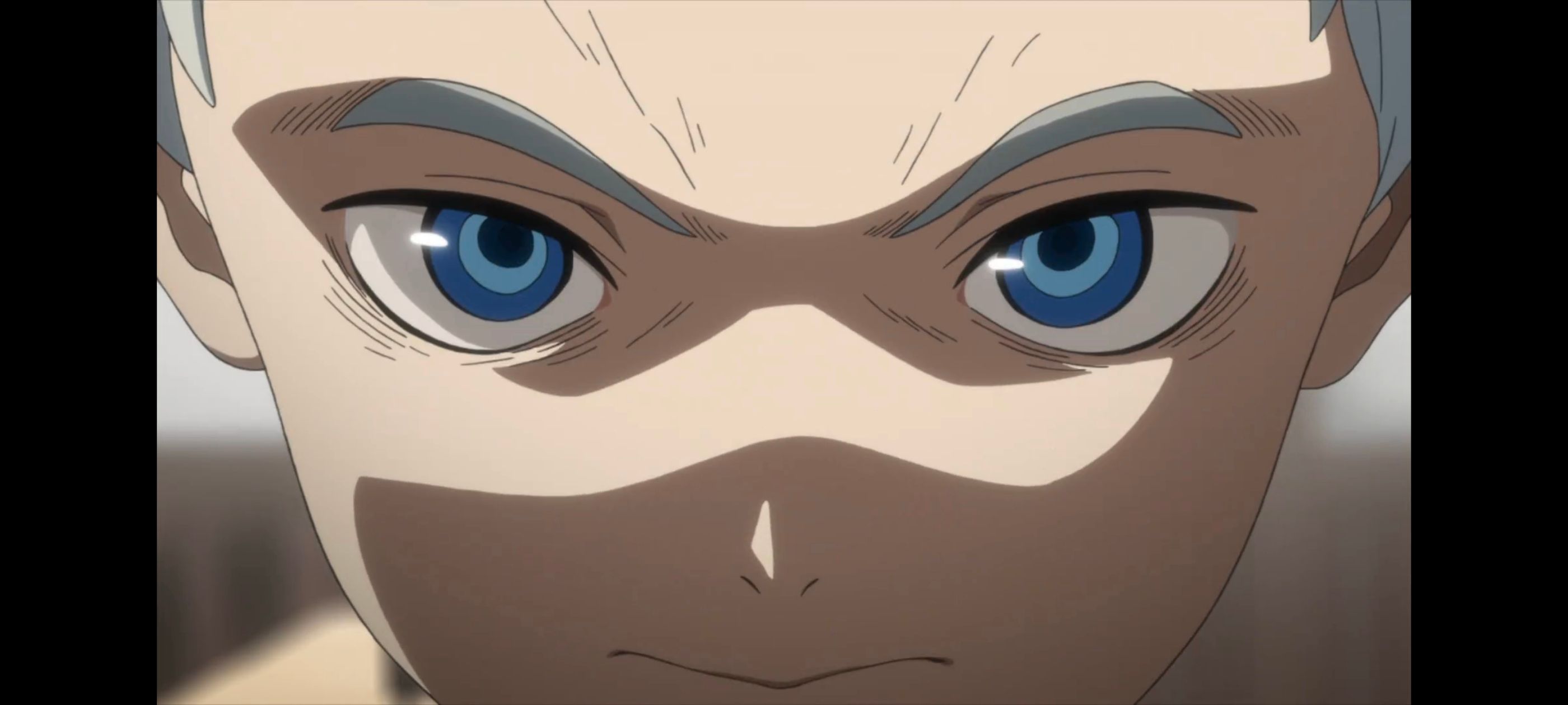 约定的梦幻岛,动画,动漫,番剧,二次元,ACG