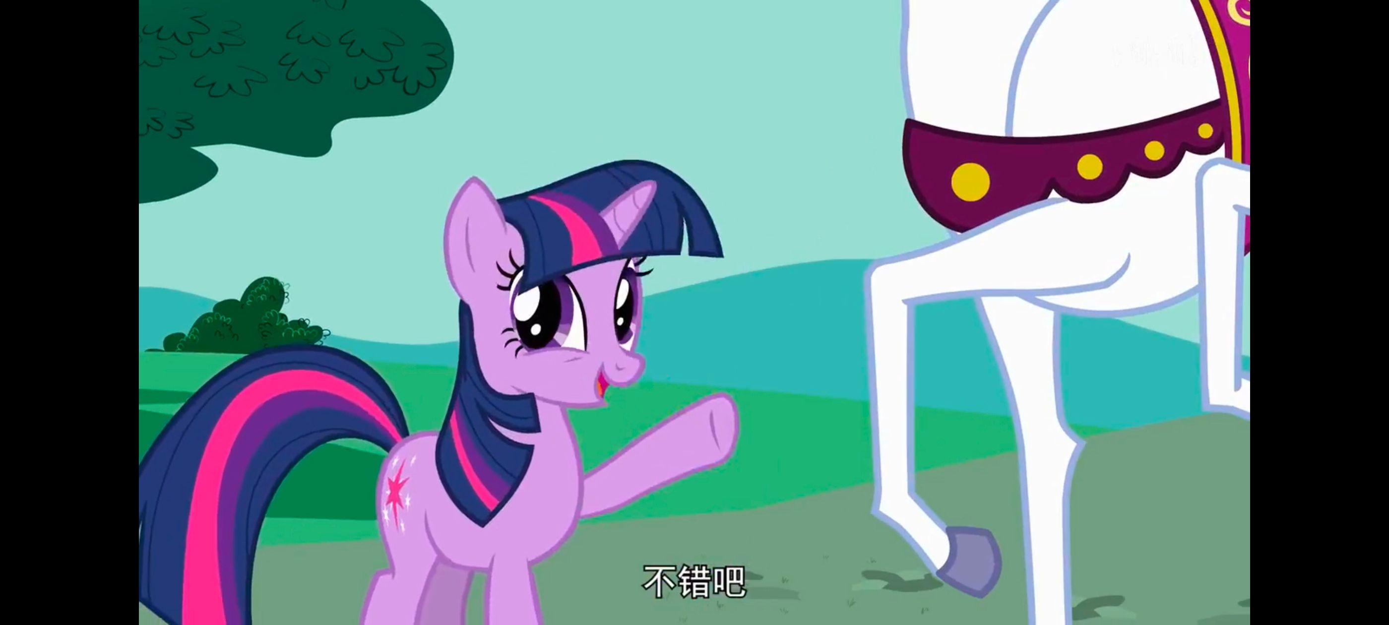 小马宝莉,小马宝莉友谊魔法,彩虹小马,我的小马驹,动画,动漫,番剧,ACG