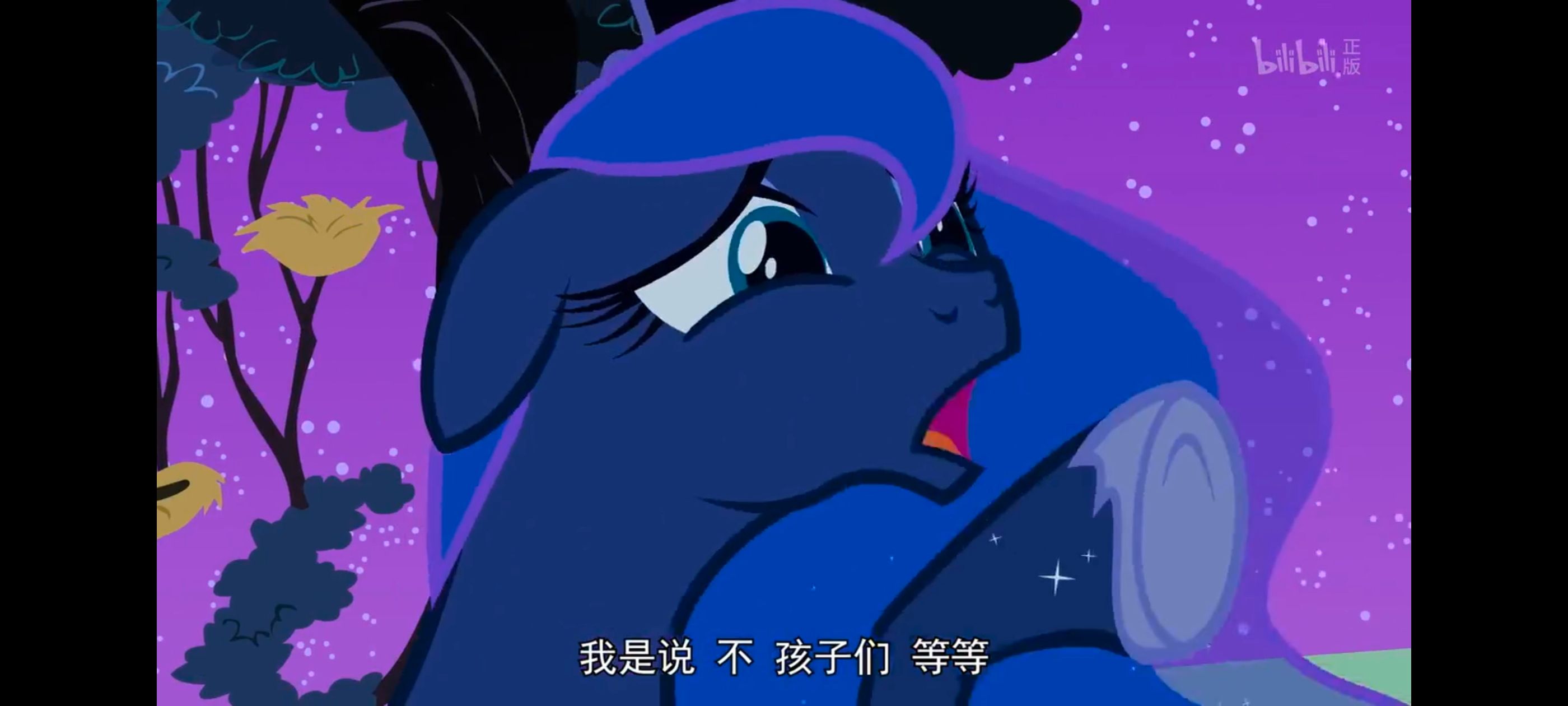 小马宝莉,小马宝莉友谊魔法,彩虹小马,我的小马驹,动漫,动画,番剧,ACG