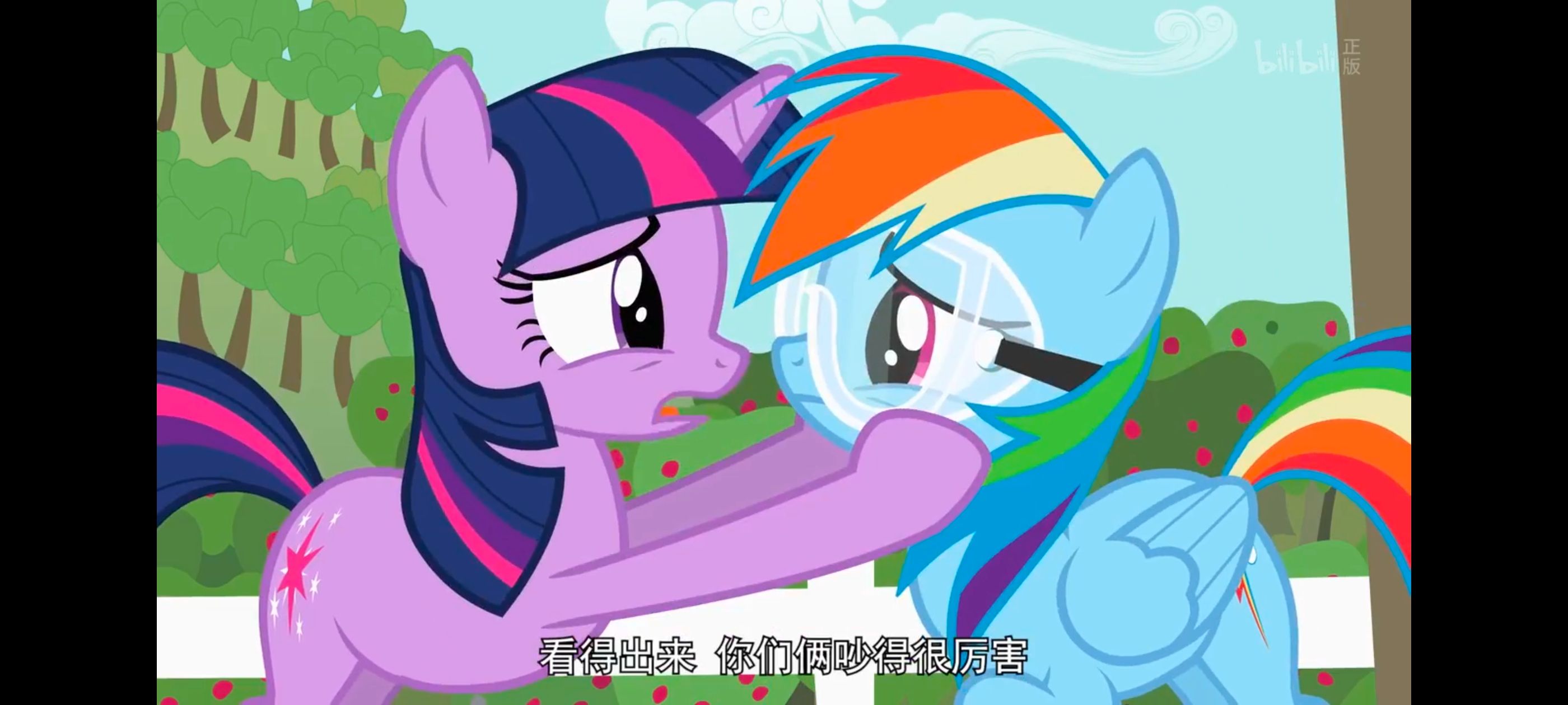 小马宝莉,小马宝莉友谊魔法,彩虹小马,我的小马驹,动画,动漫,番剧,ACG