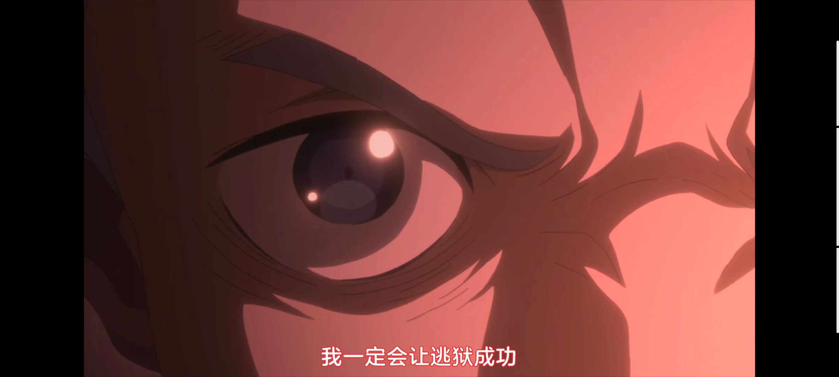 约定的梦幻岛,动画,动漫,番剧,二次元,ACG